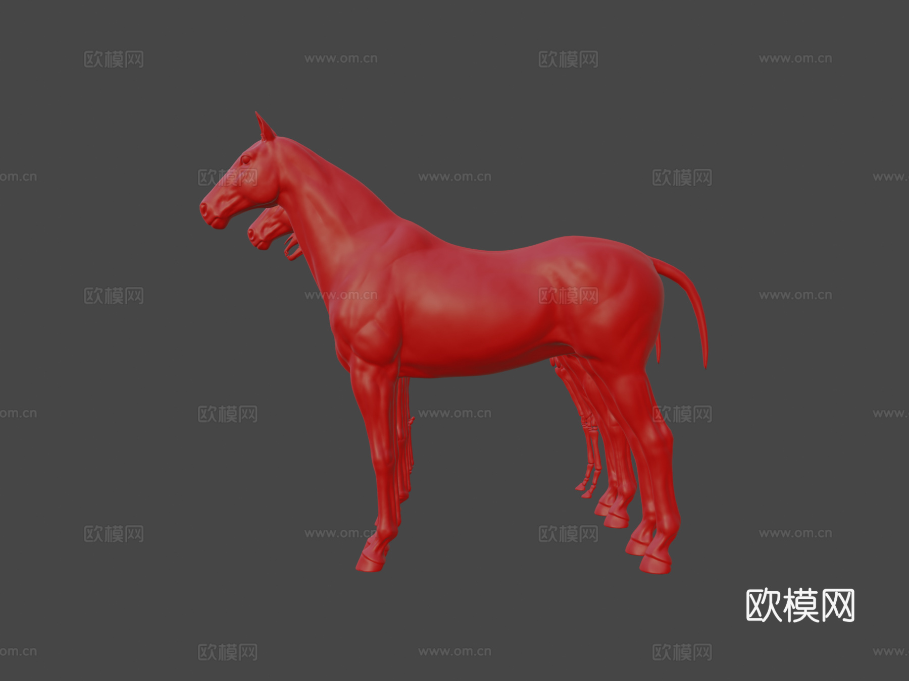 马匹解剖生态皮肤3d模型
