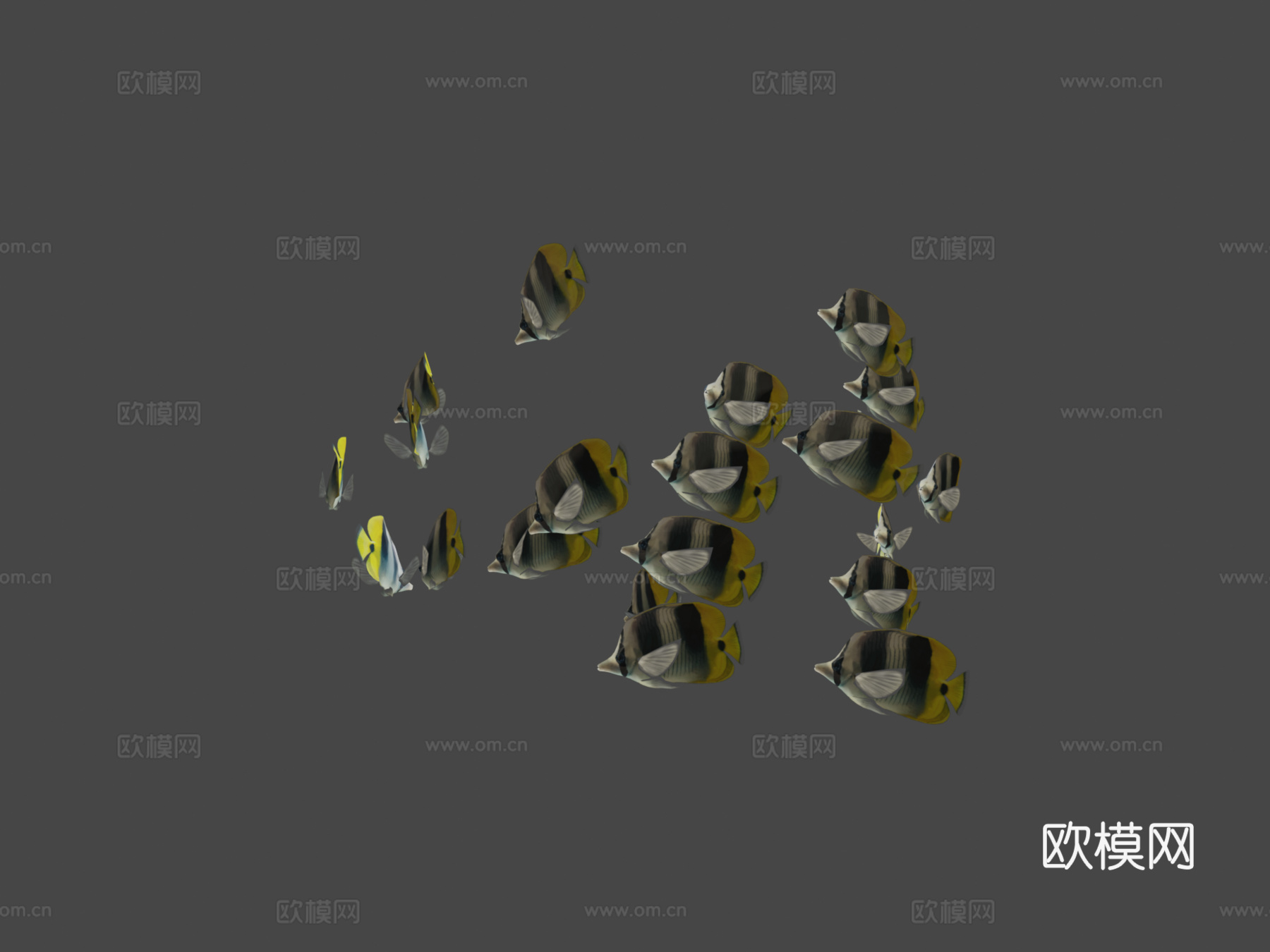 群游双鞍鱼3d模型