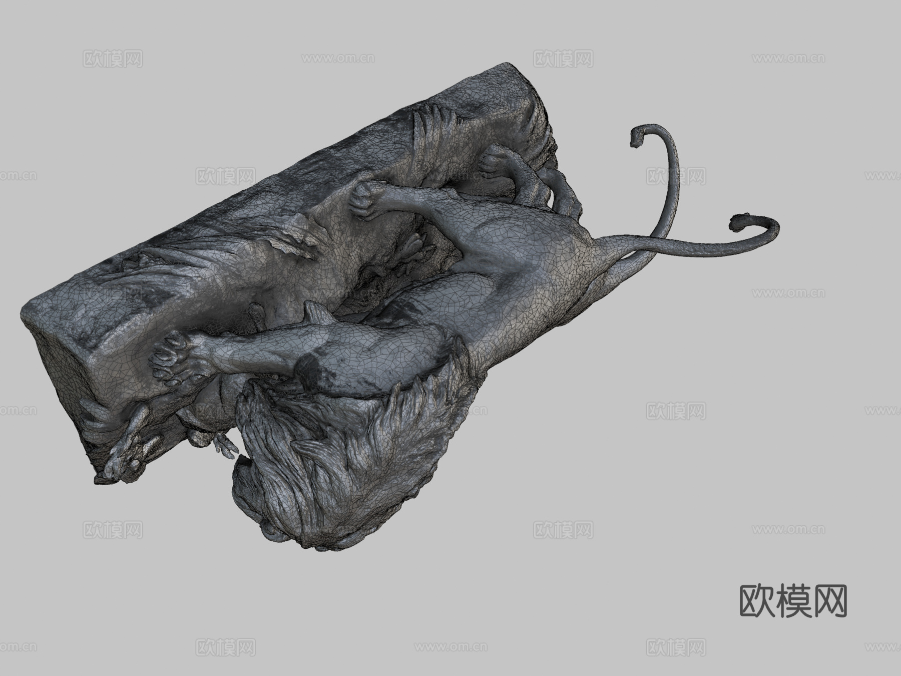 雄狮与母狮3d模型