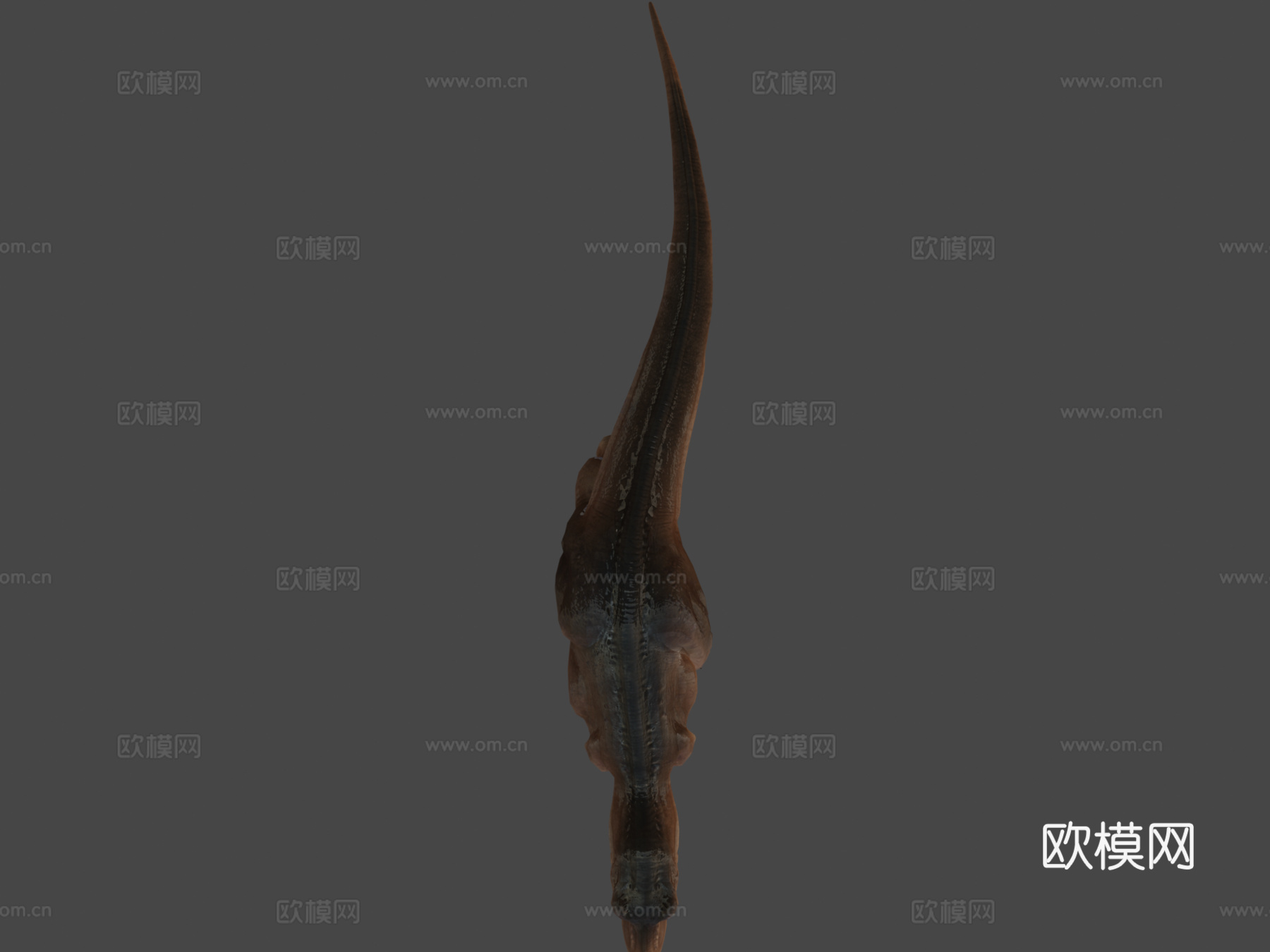 霸王龙3d模型