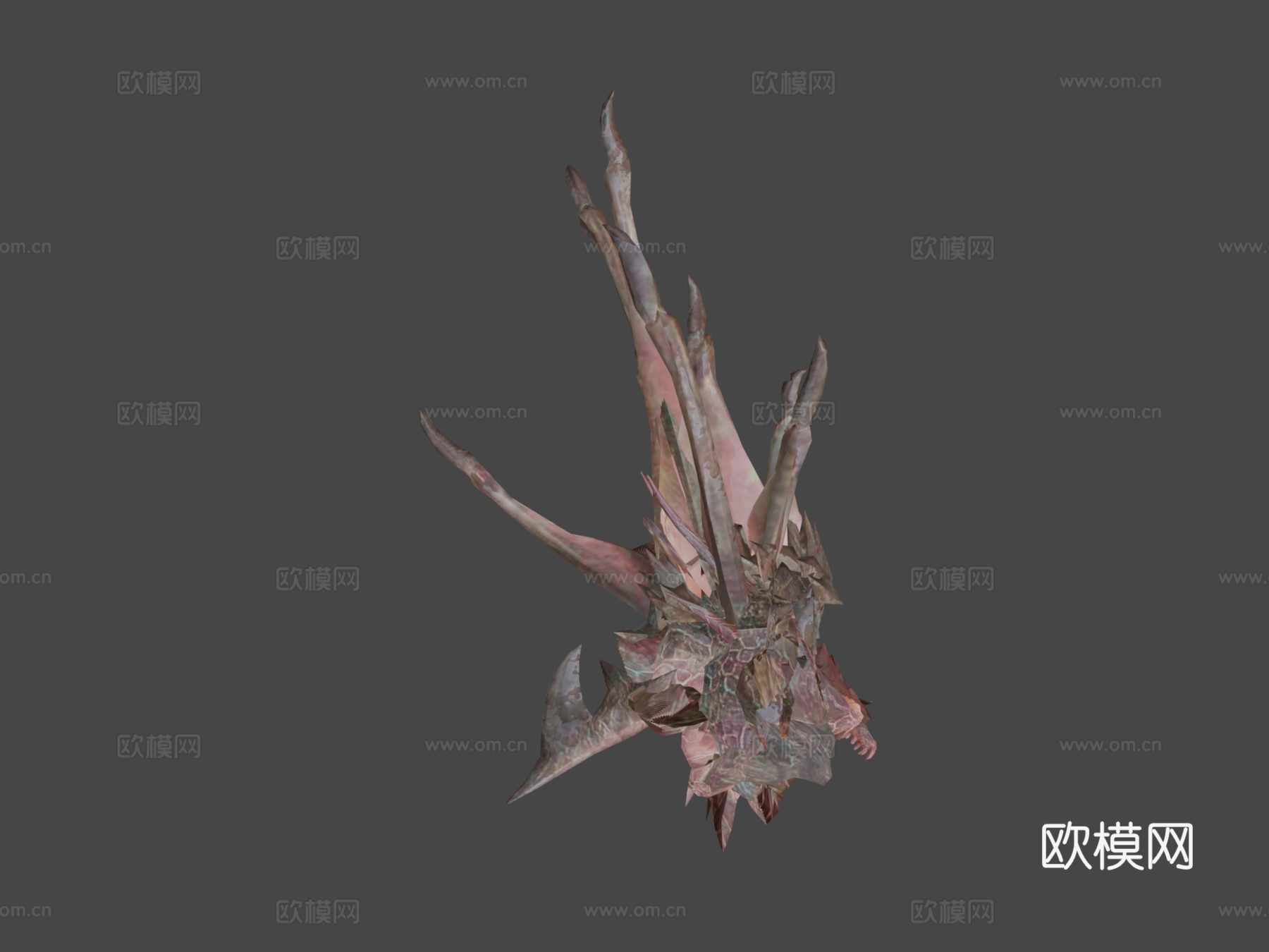 双足飞龙动画(青雉)_13d模型