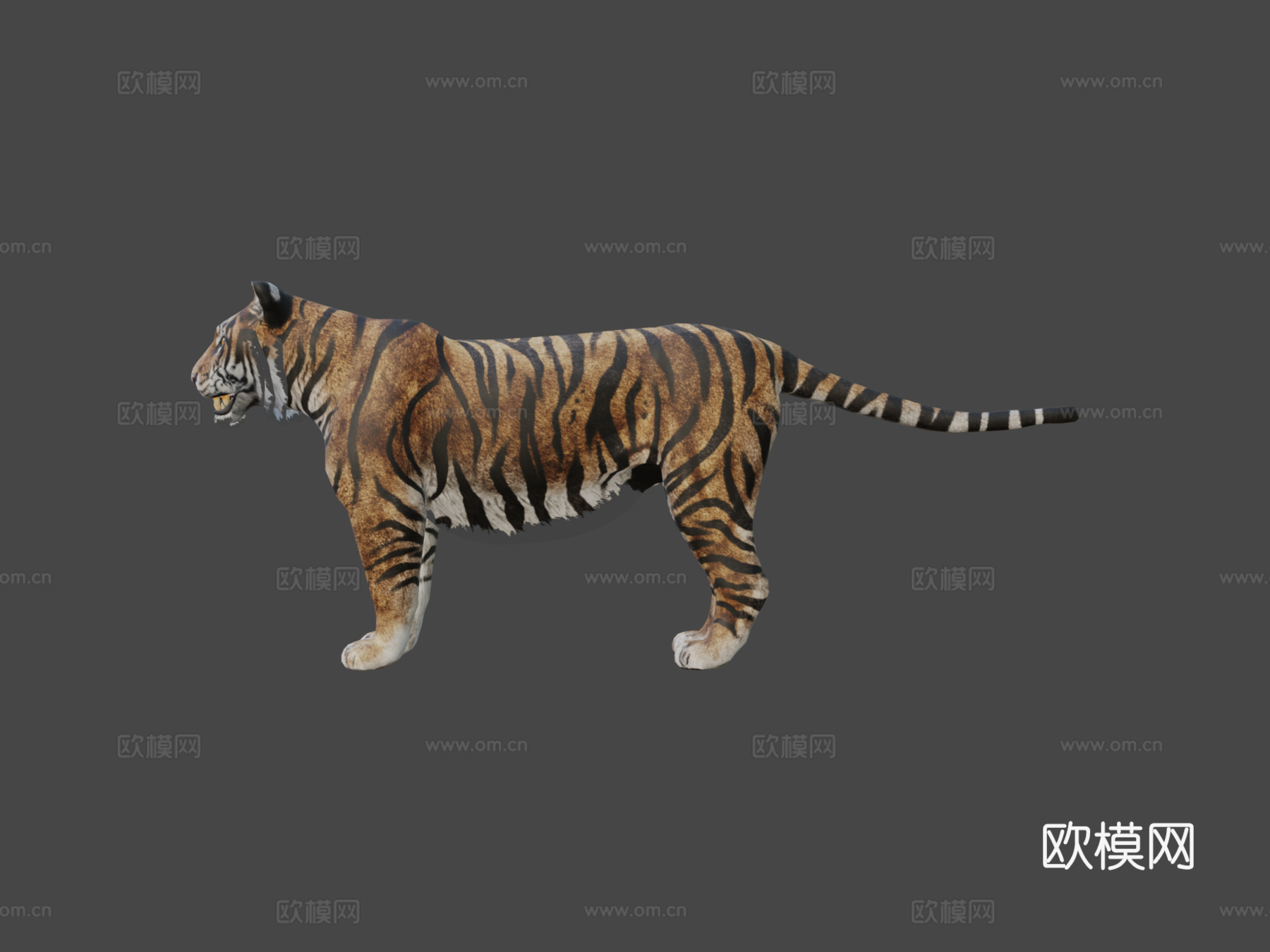 孟加拉虎3d模型