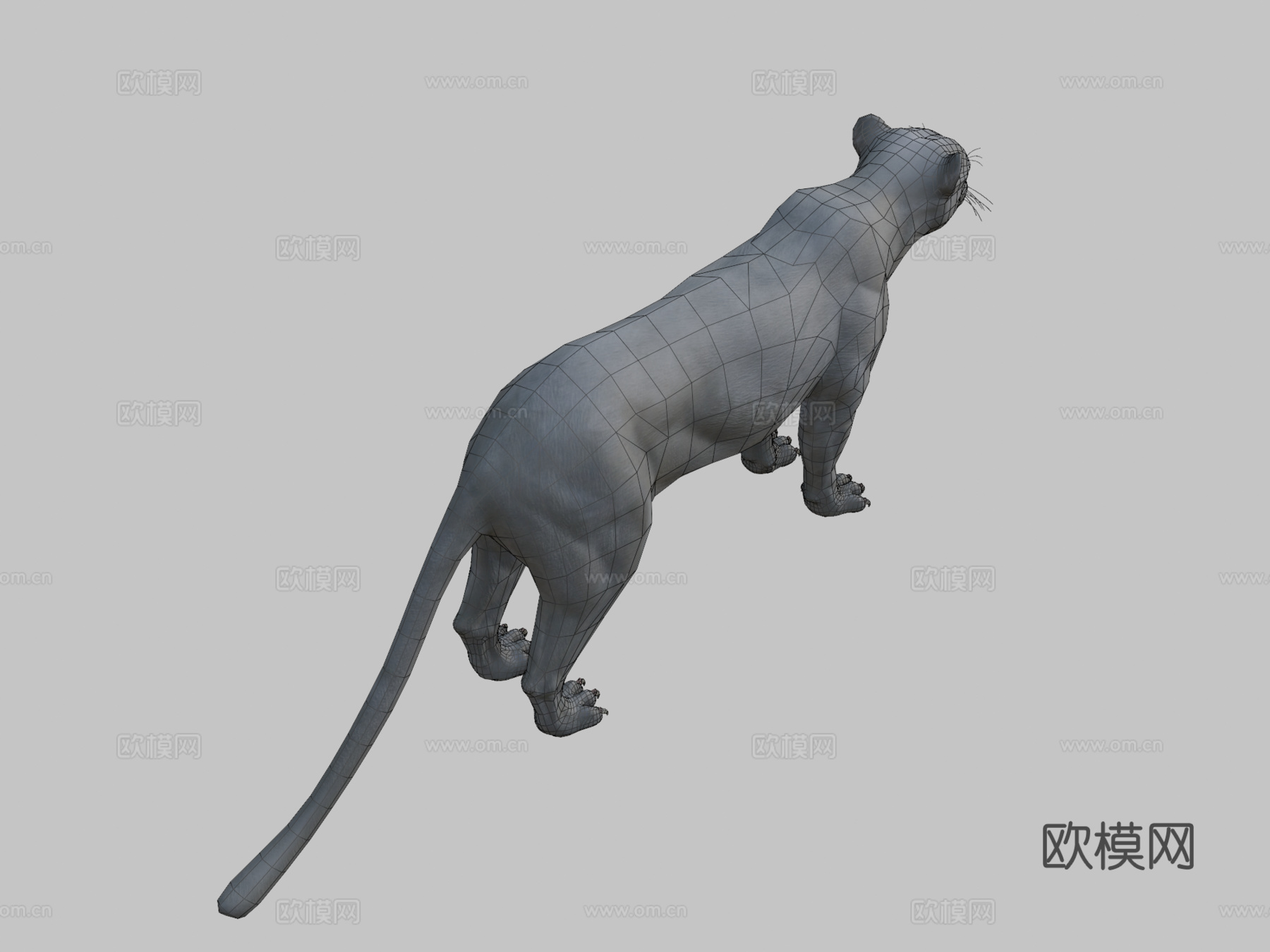 黑豹免费3D模型3d模型