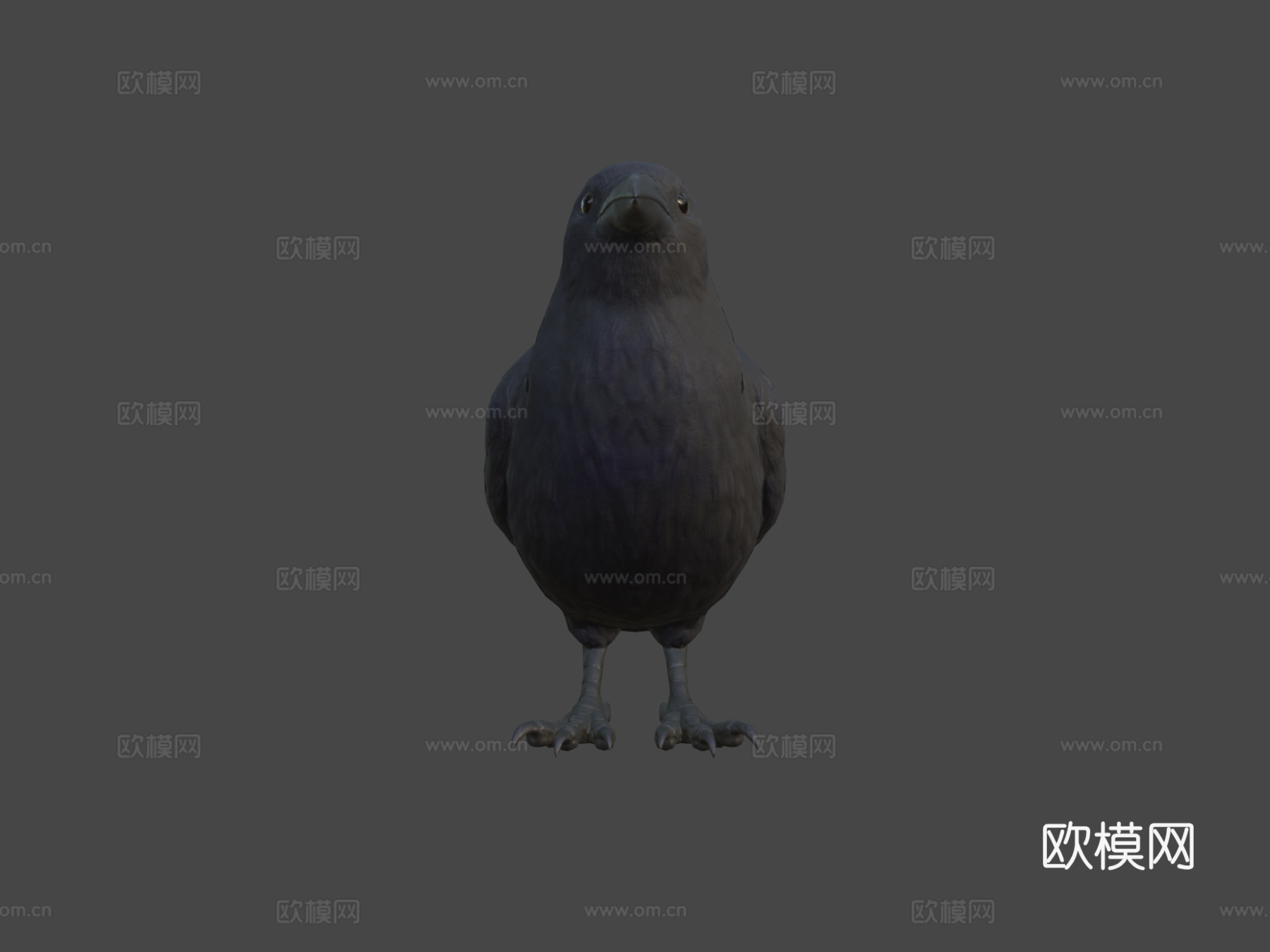 乌鸦3d模型