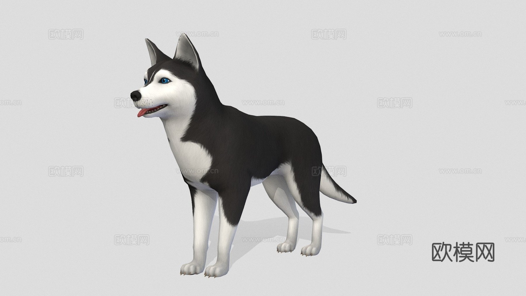 哈士奇犬3d模型