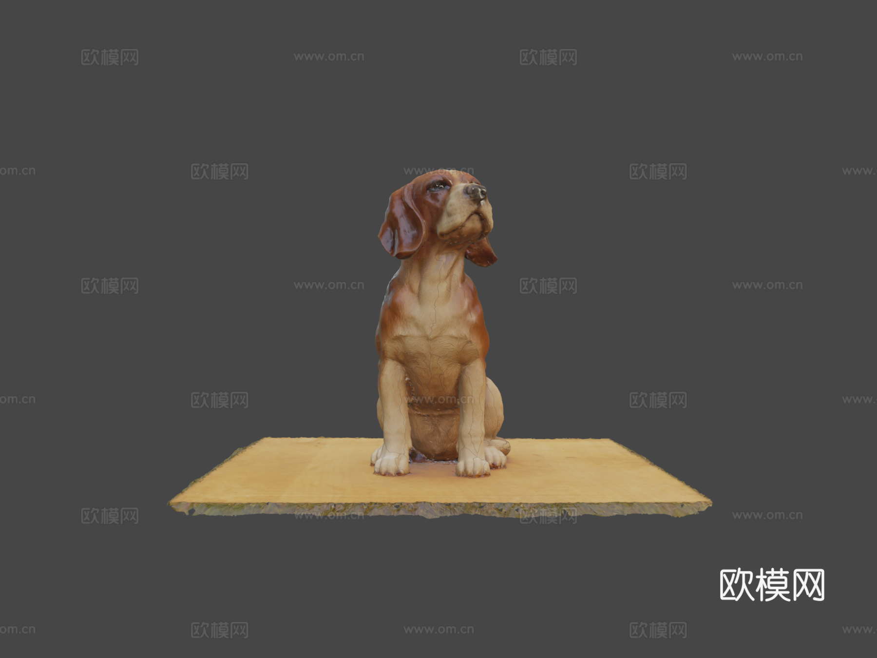 比格犬3d模型