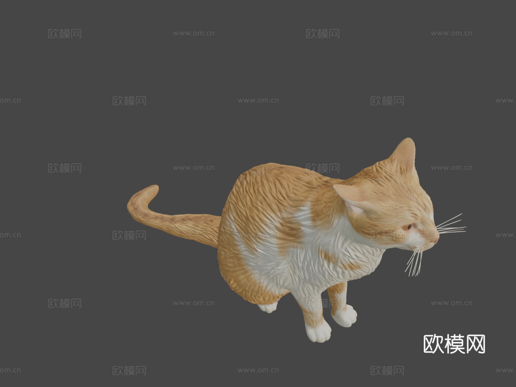 红猫07号3d模型