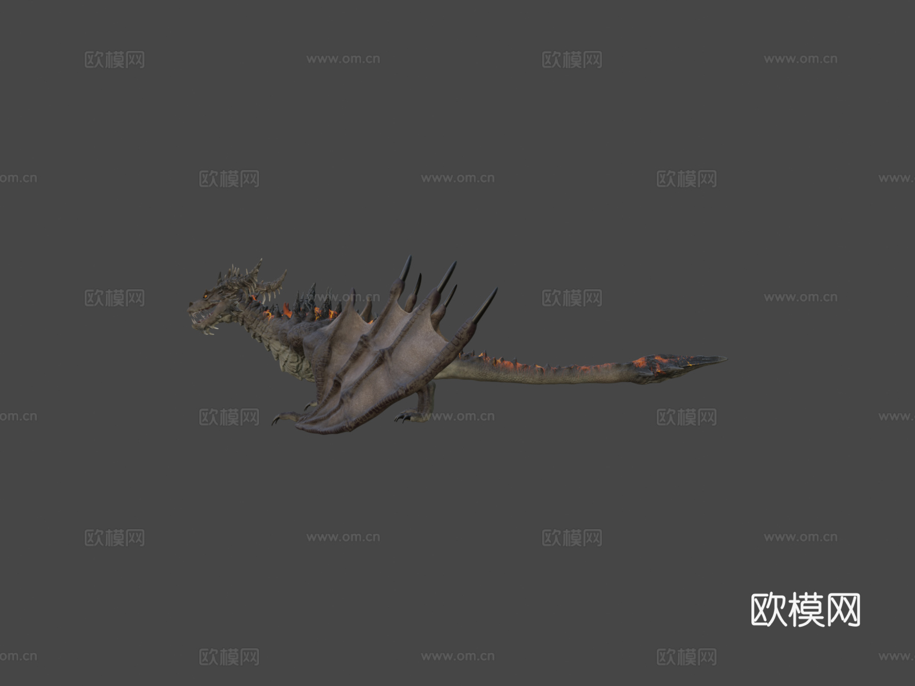 火龙3d模型