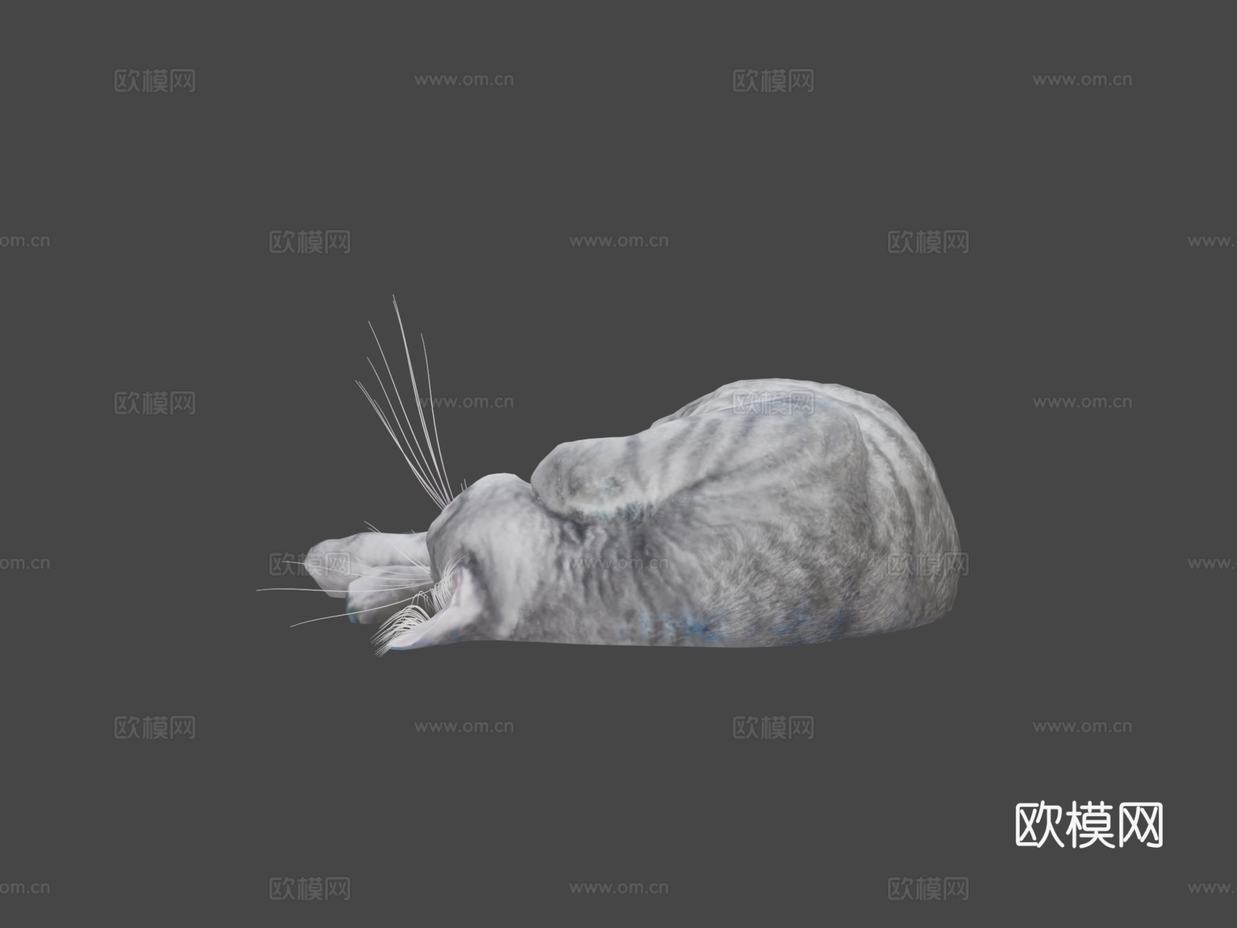 睡猫3d模型