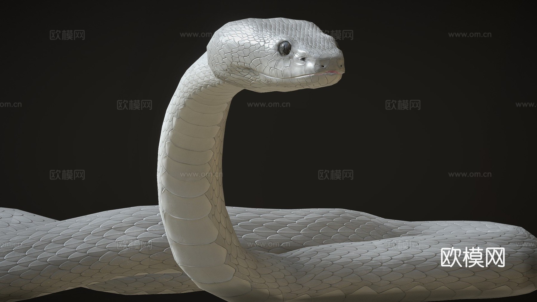 白色蝰蛇带动画3d模型