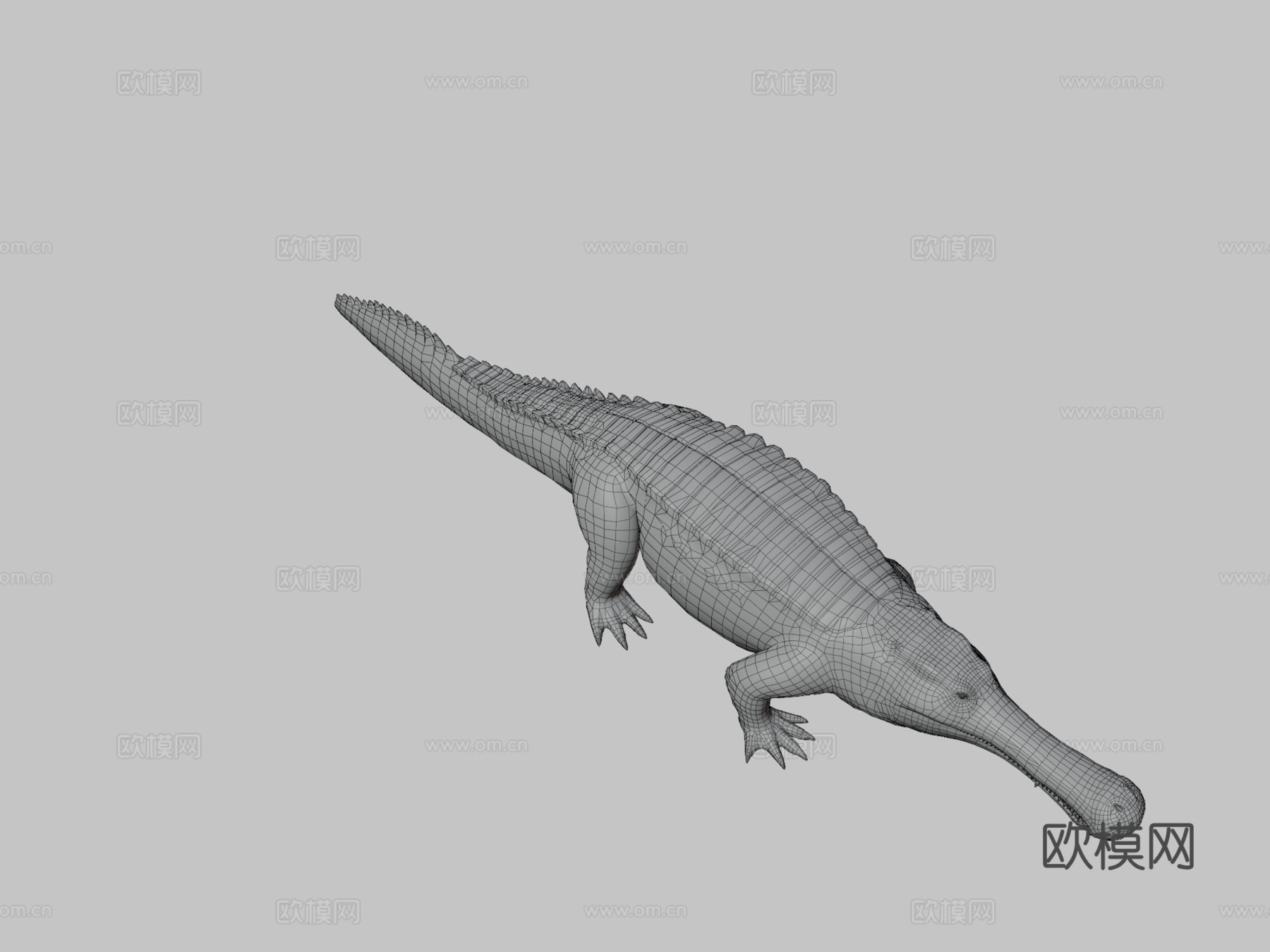 帝鳄3d模型