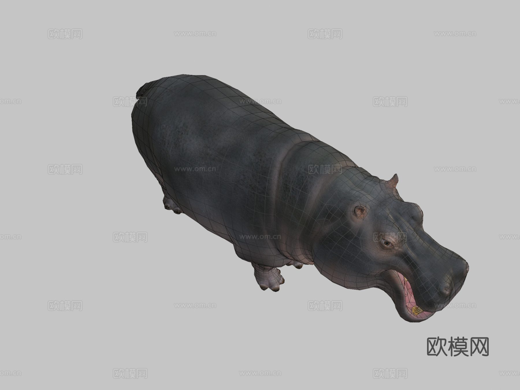 河马动画集3d模型
