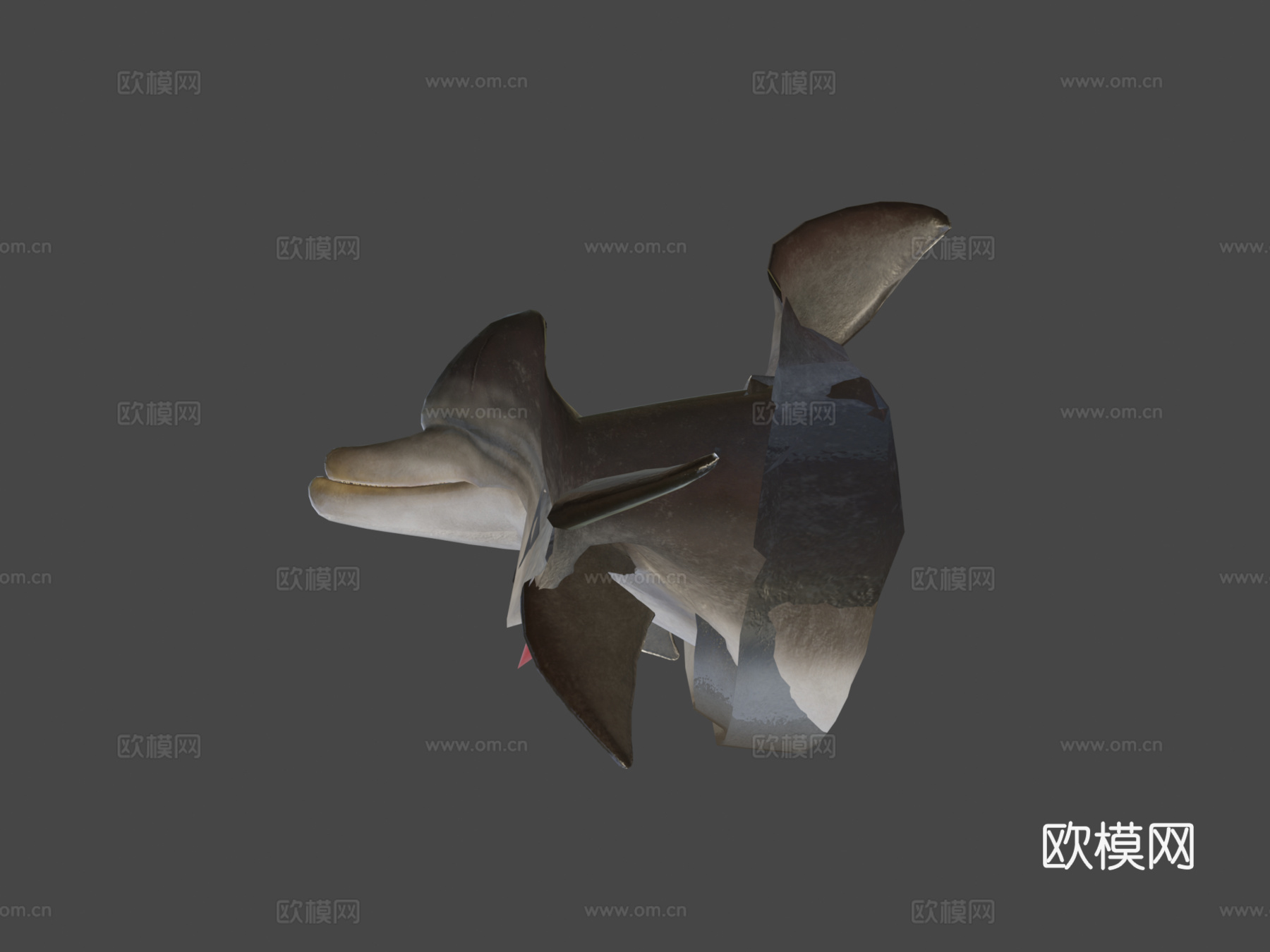 海豚3d模型
