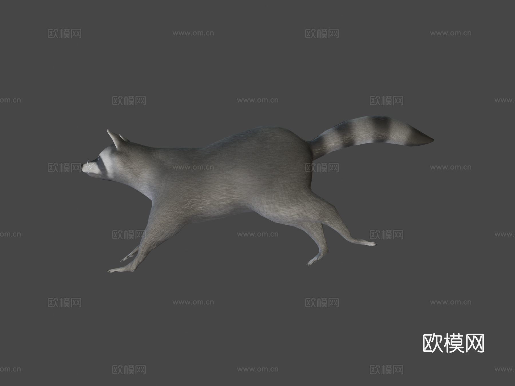 奔跑浣熊动画3d模型