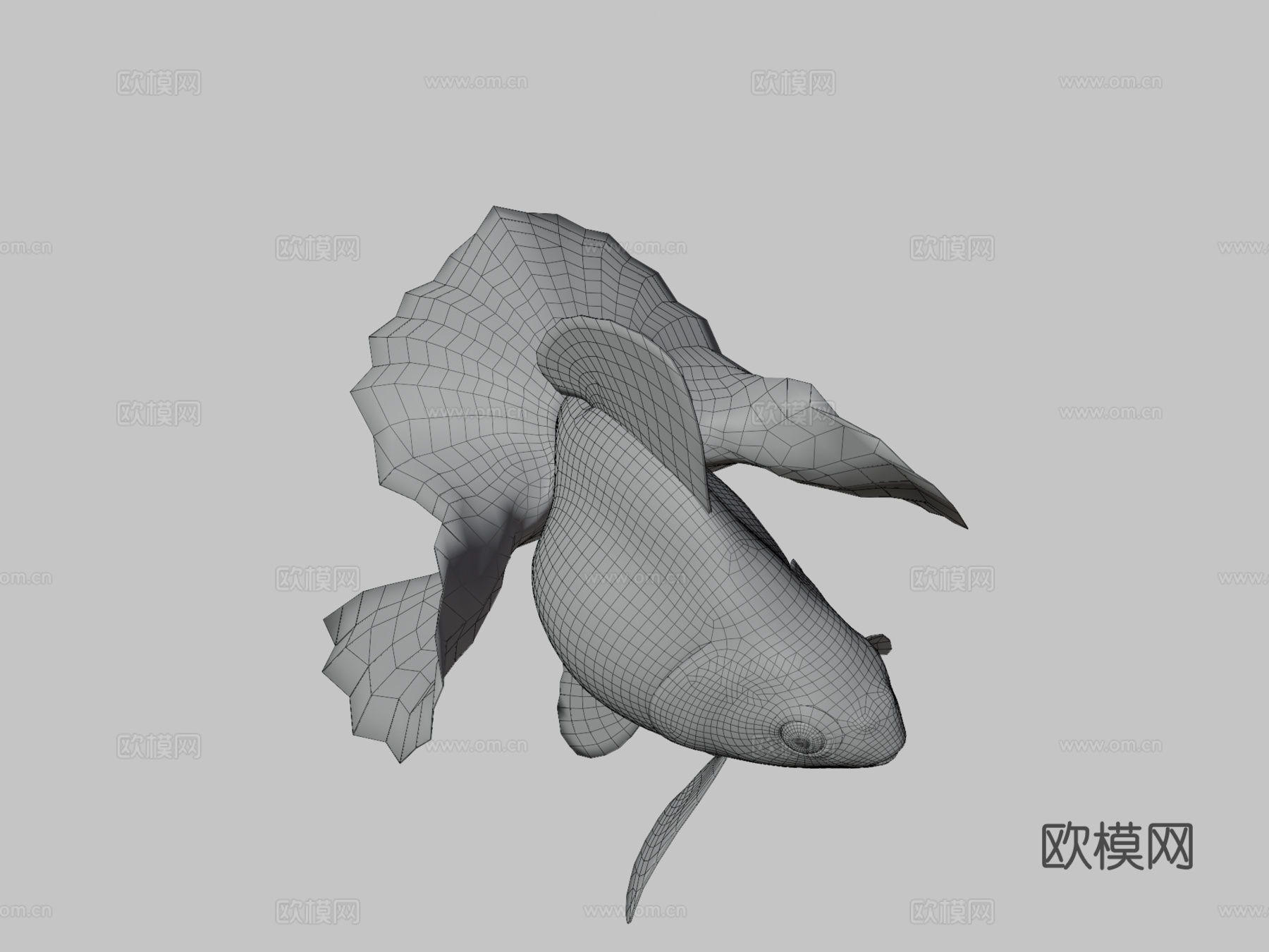 土佐金鱼3d模型