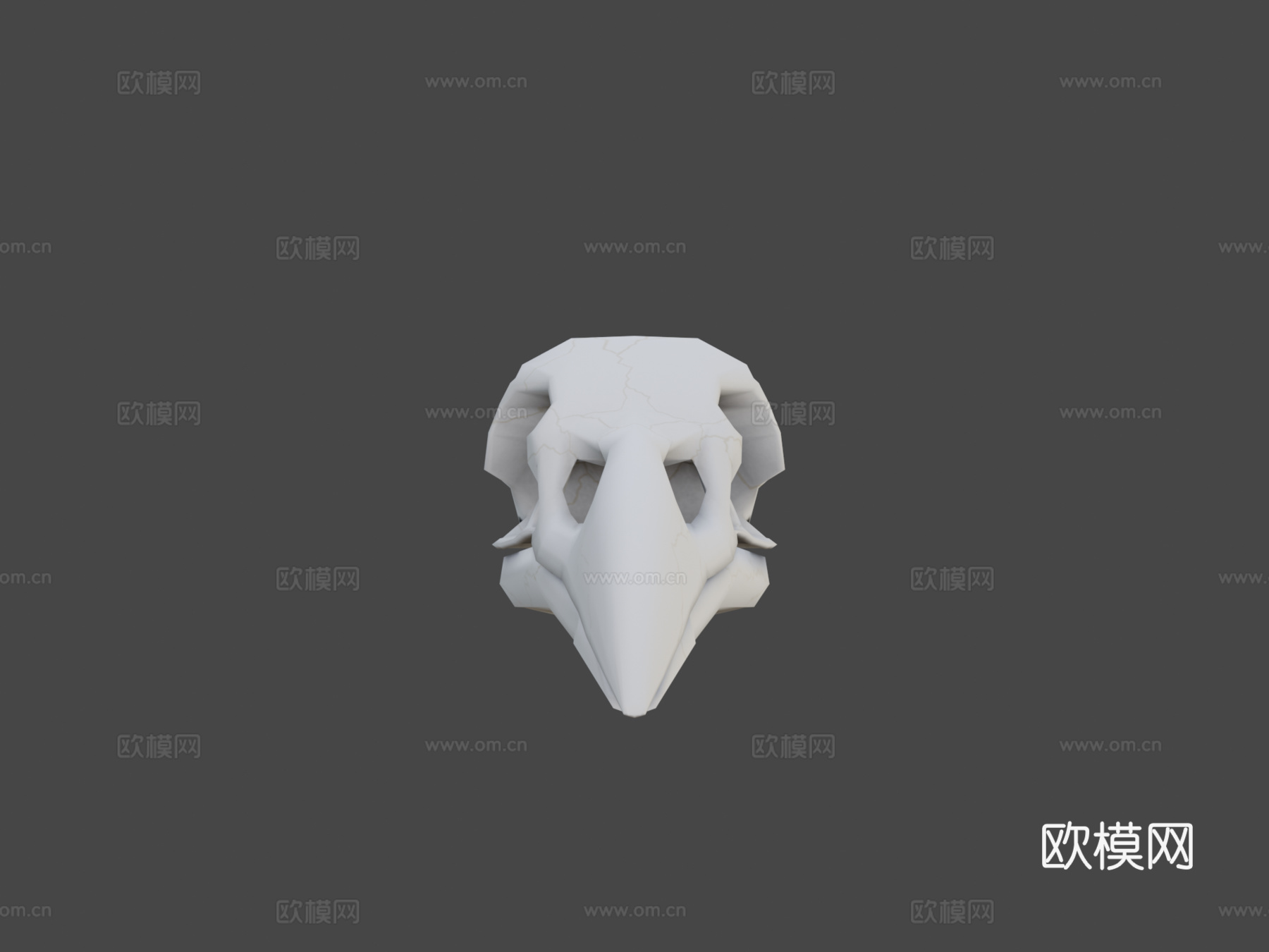 渡鸦头骨3d模型