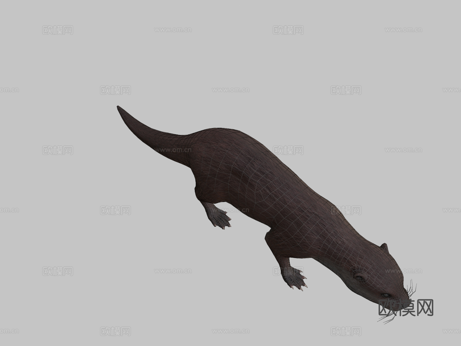 水獭3d模型