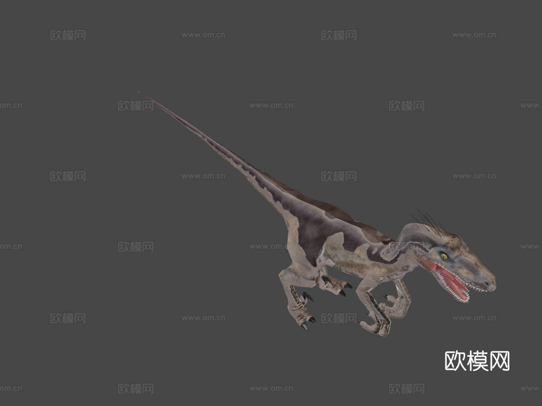迅猛龙[极低多边形]3d模型