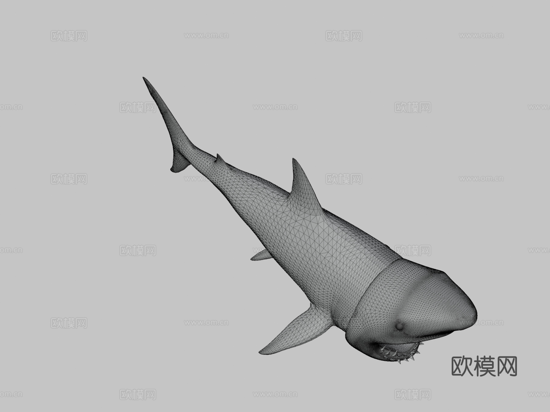大白鲨3D模型3d模型