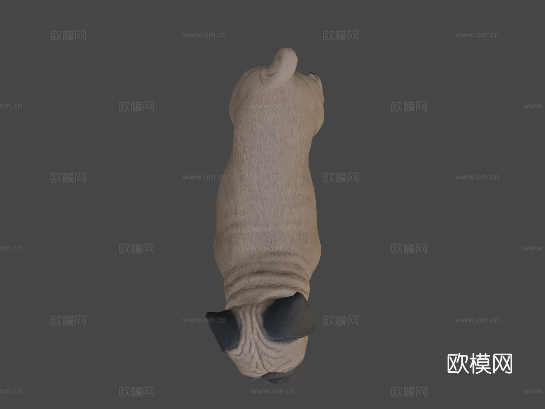哈巴狗3d模型