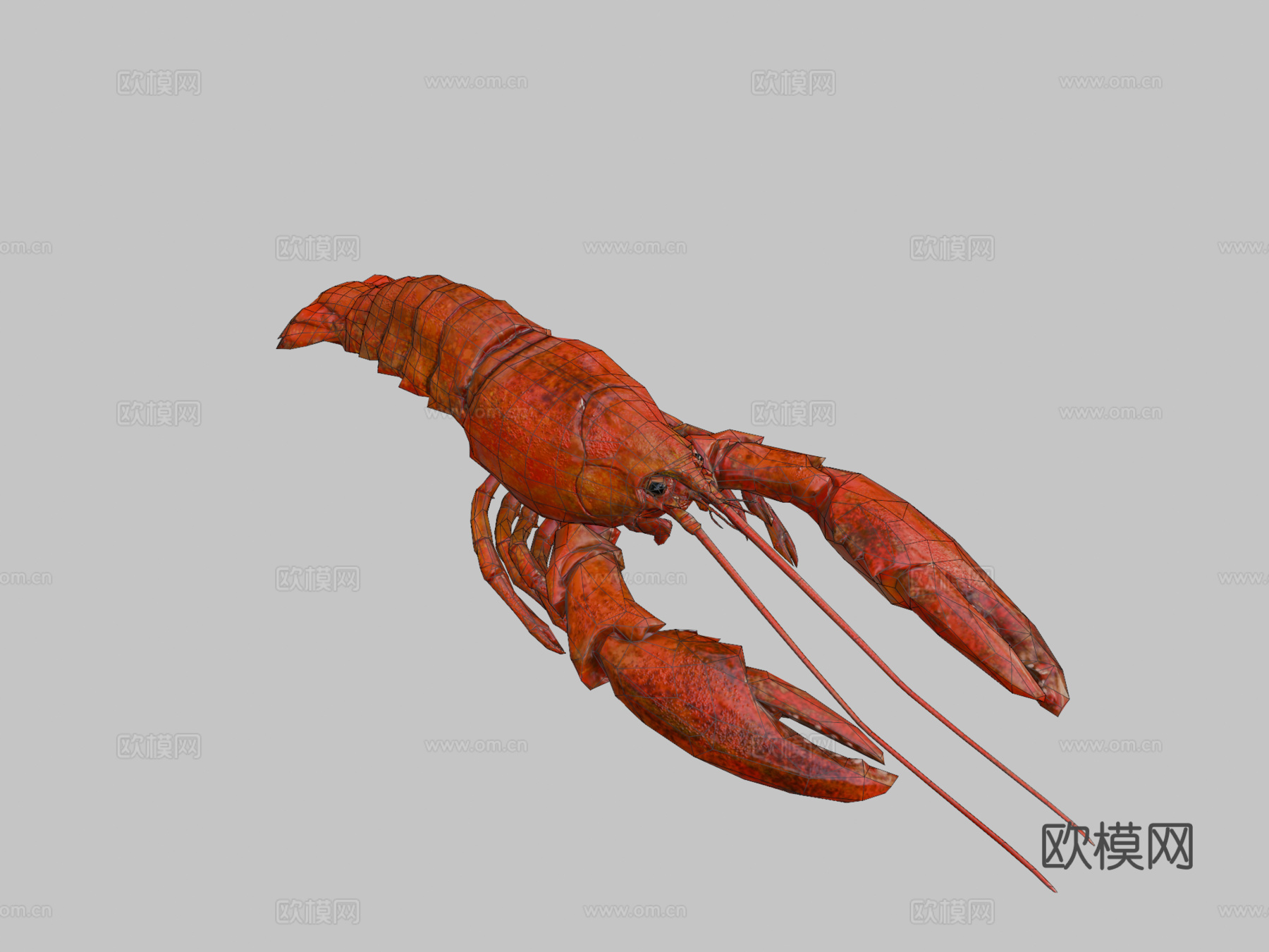 龙虾3d模型