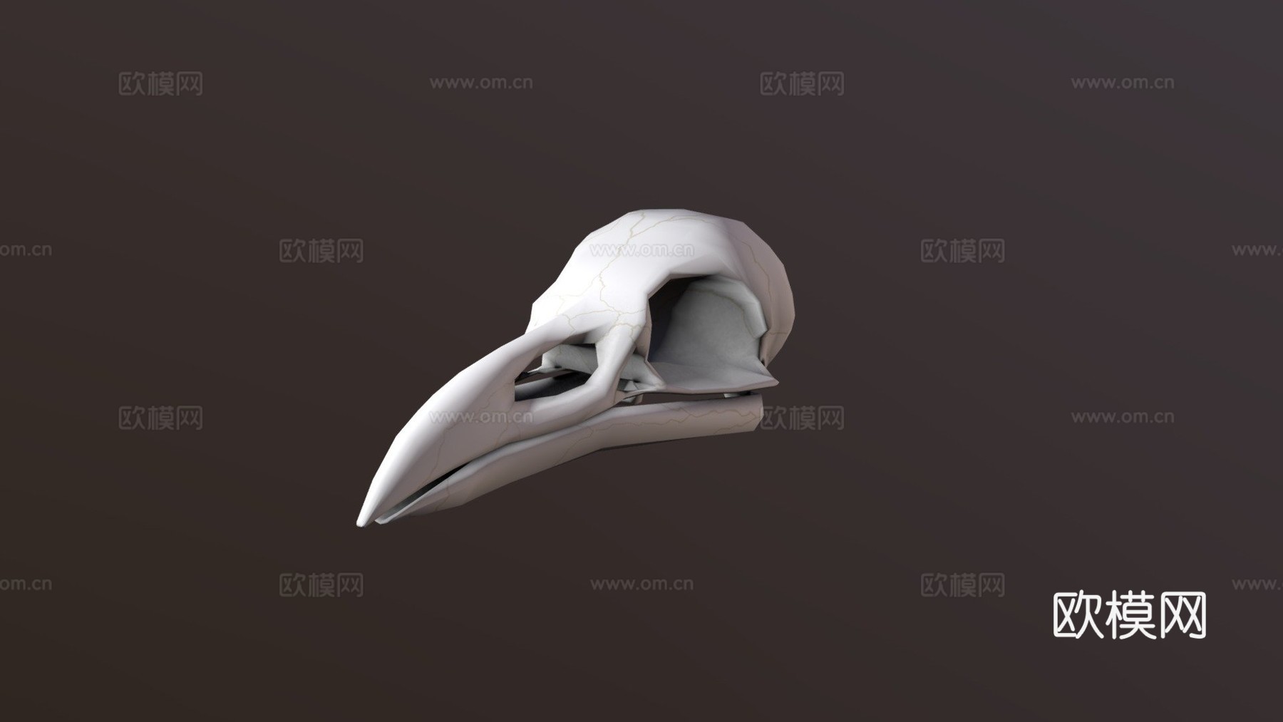 渡鸦头骨3d模型