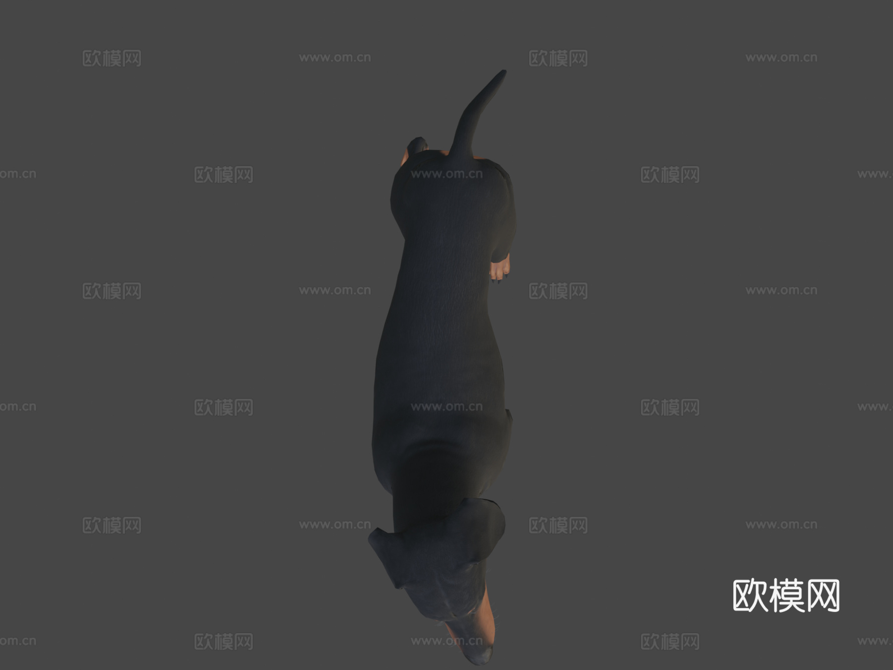 腊肠犬3d模型