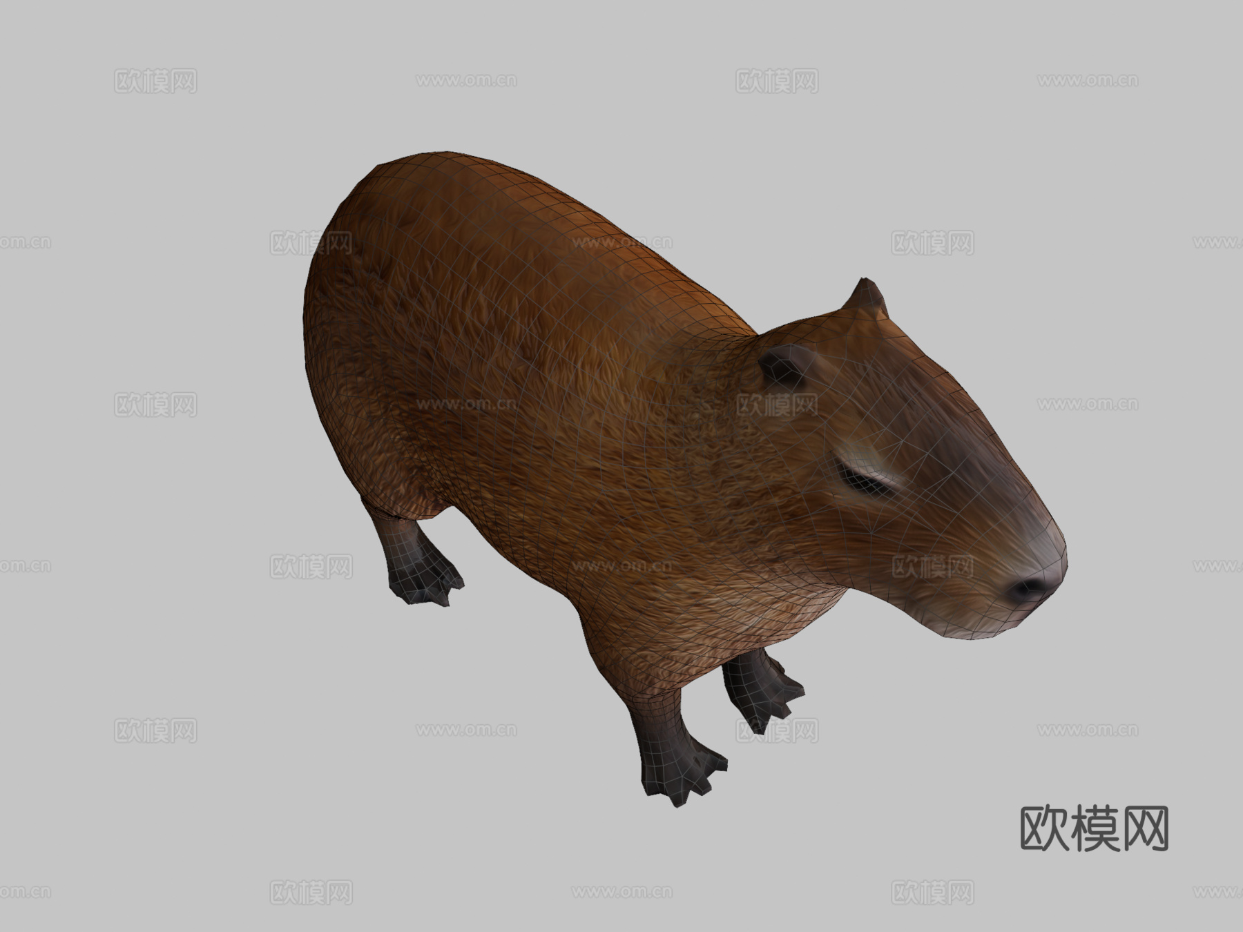 水豚3d模型