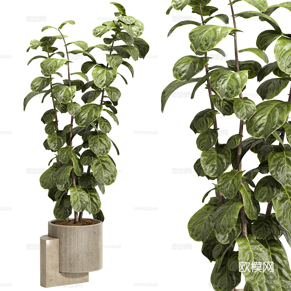 新中式侘寂绿植盆栽3d模型