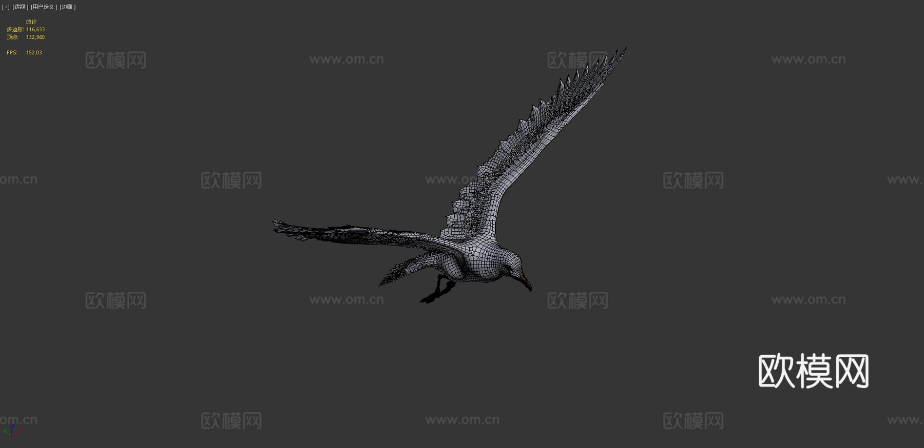 海鸥v23d模型