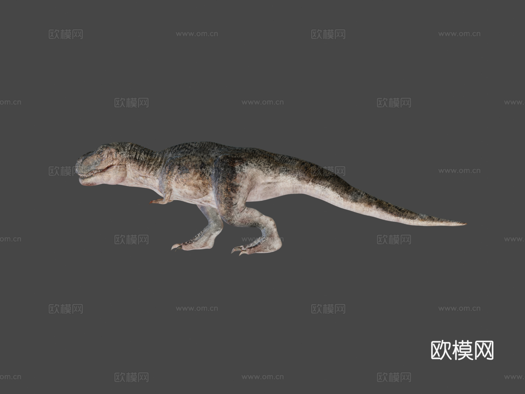 可动霸王龙骨架3d模型