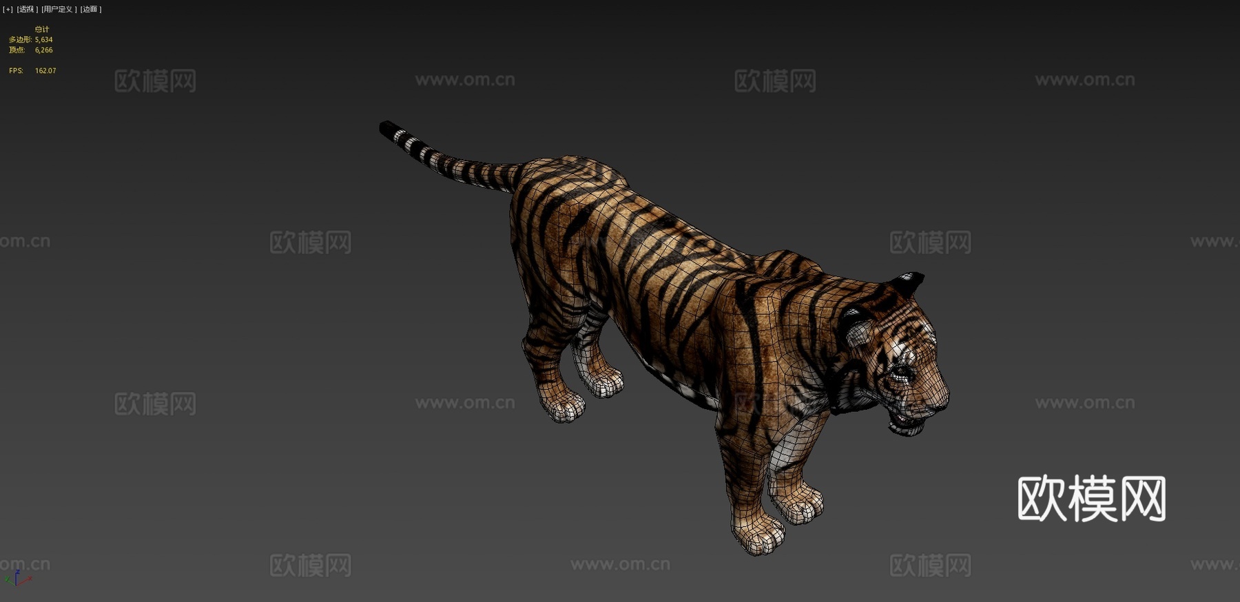孟加拉虎3d模型