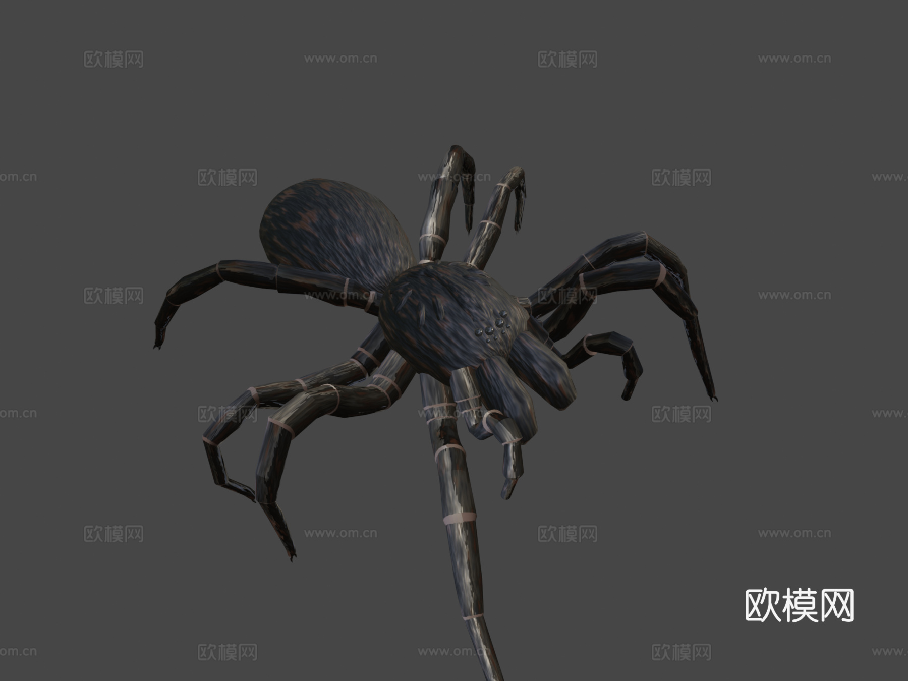 恐怖蜘蛛3d模型