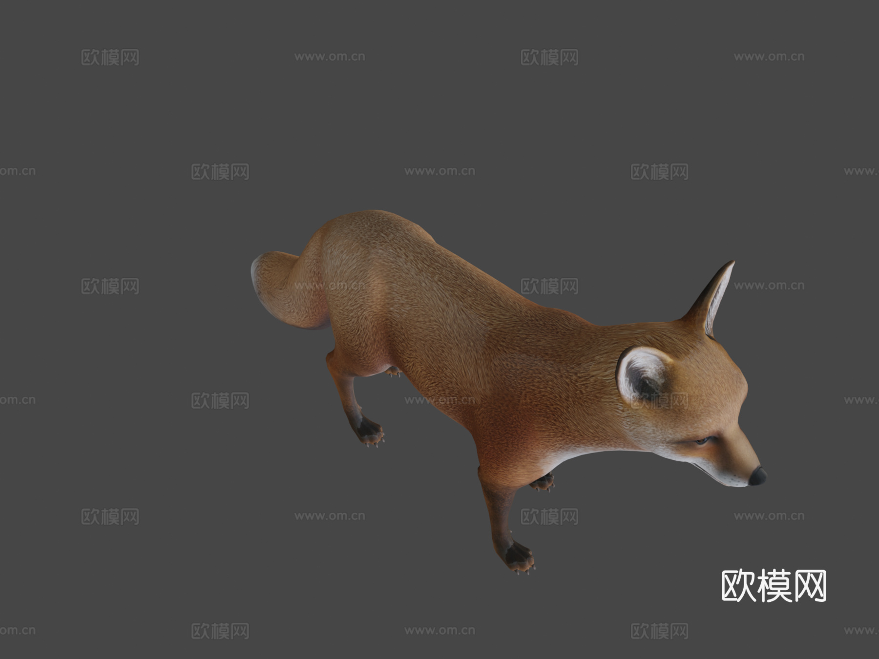 狐狸待机3d模型