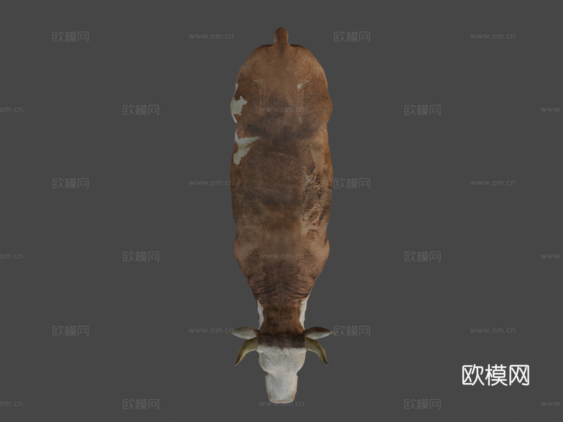 牛-公牛3d模型