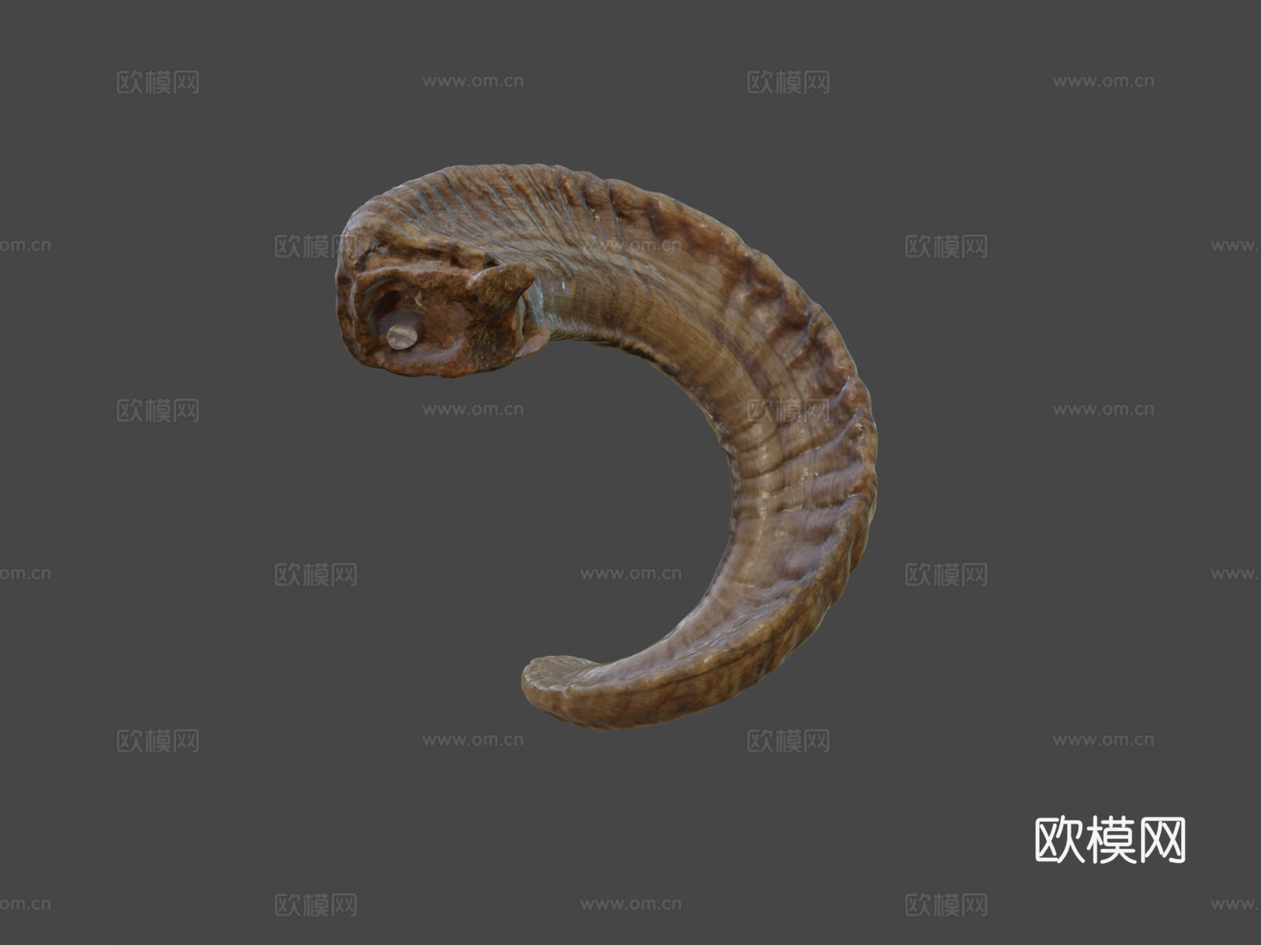 公羊角3d模型