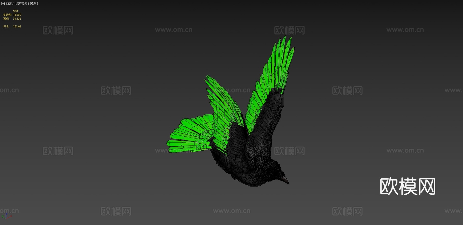 逼真渡鸦-乌鸦3d模型