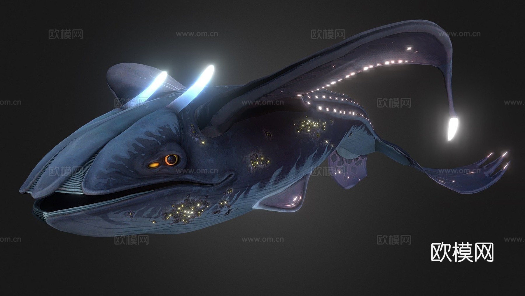 发光鲸鱼3d模型