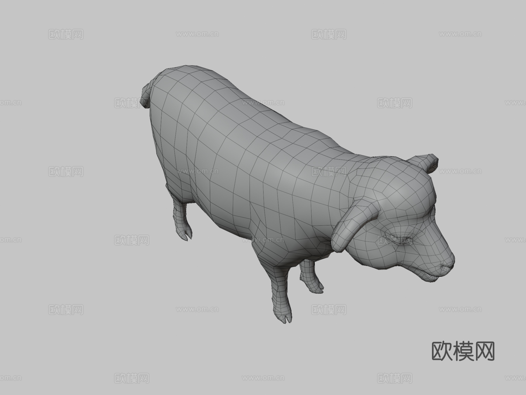 绵羊动画3d模型