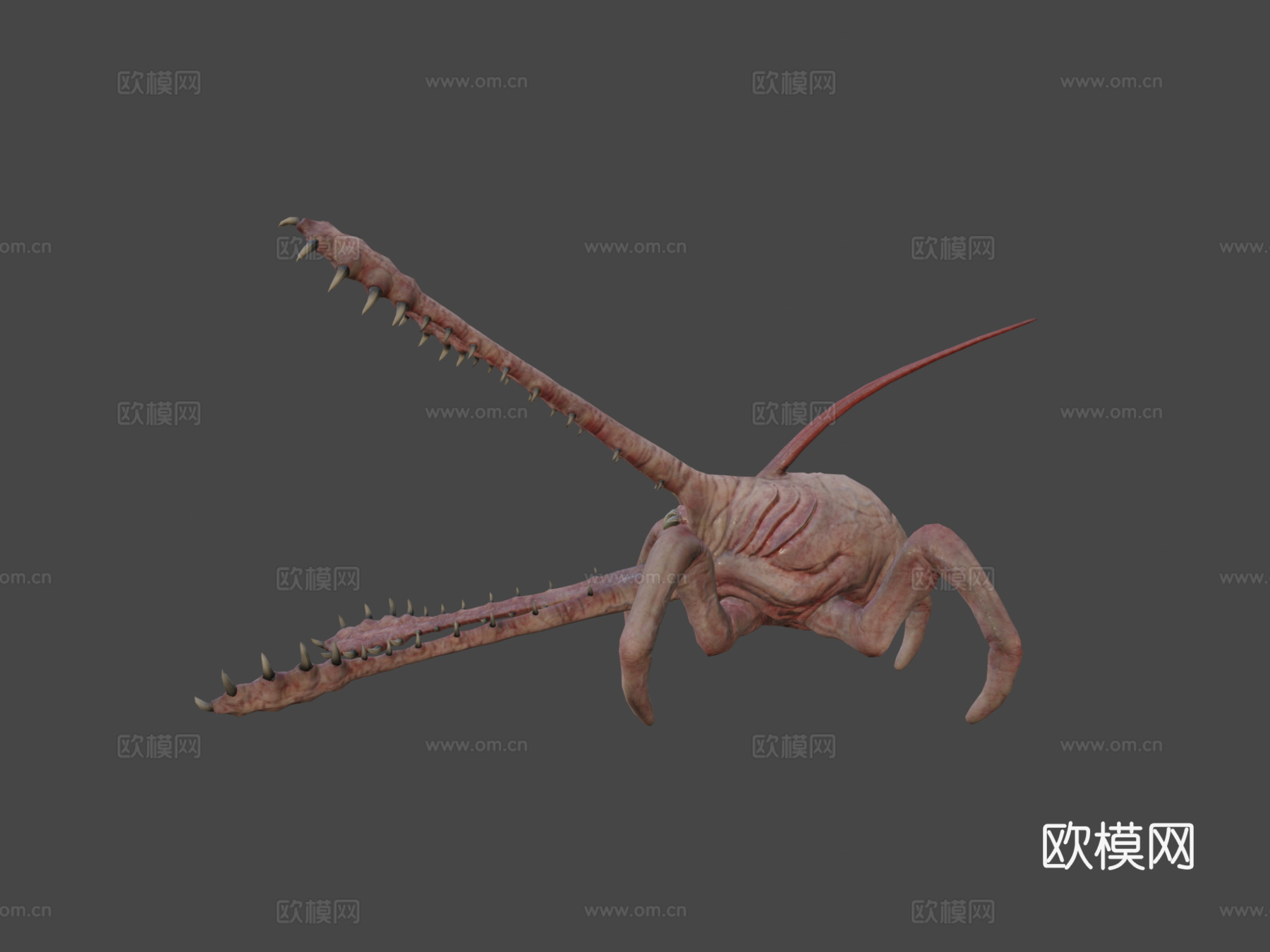 变形动画3d模型