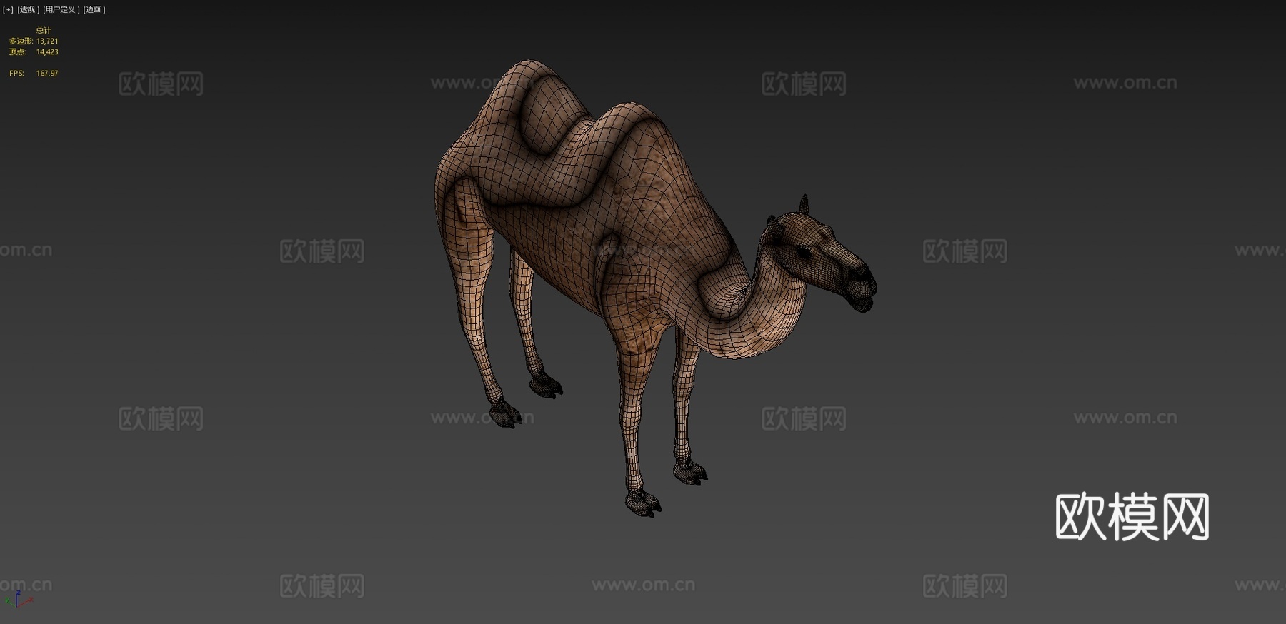双峰骆驼3d模型
