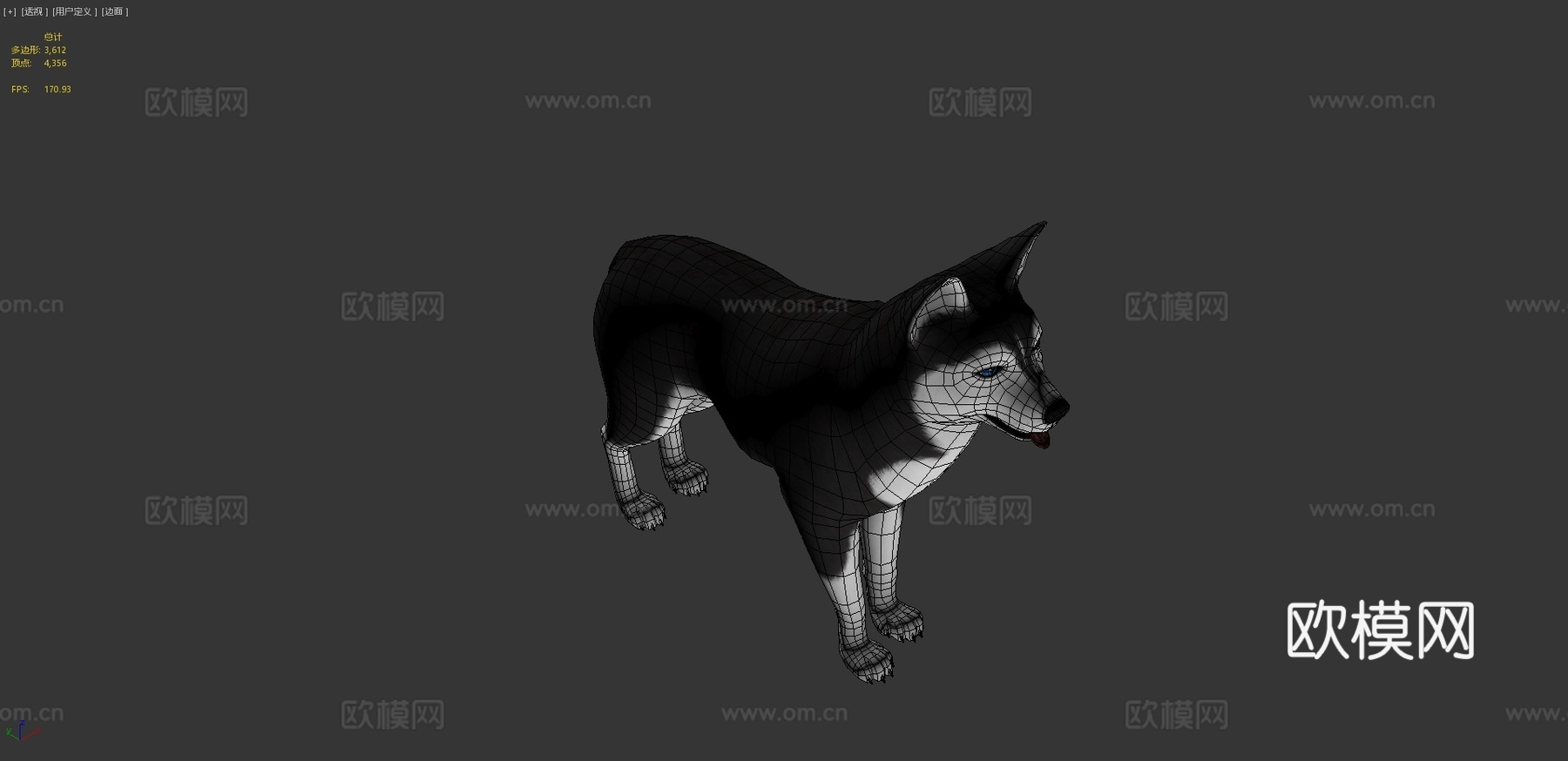 哈士奇犬3d模型