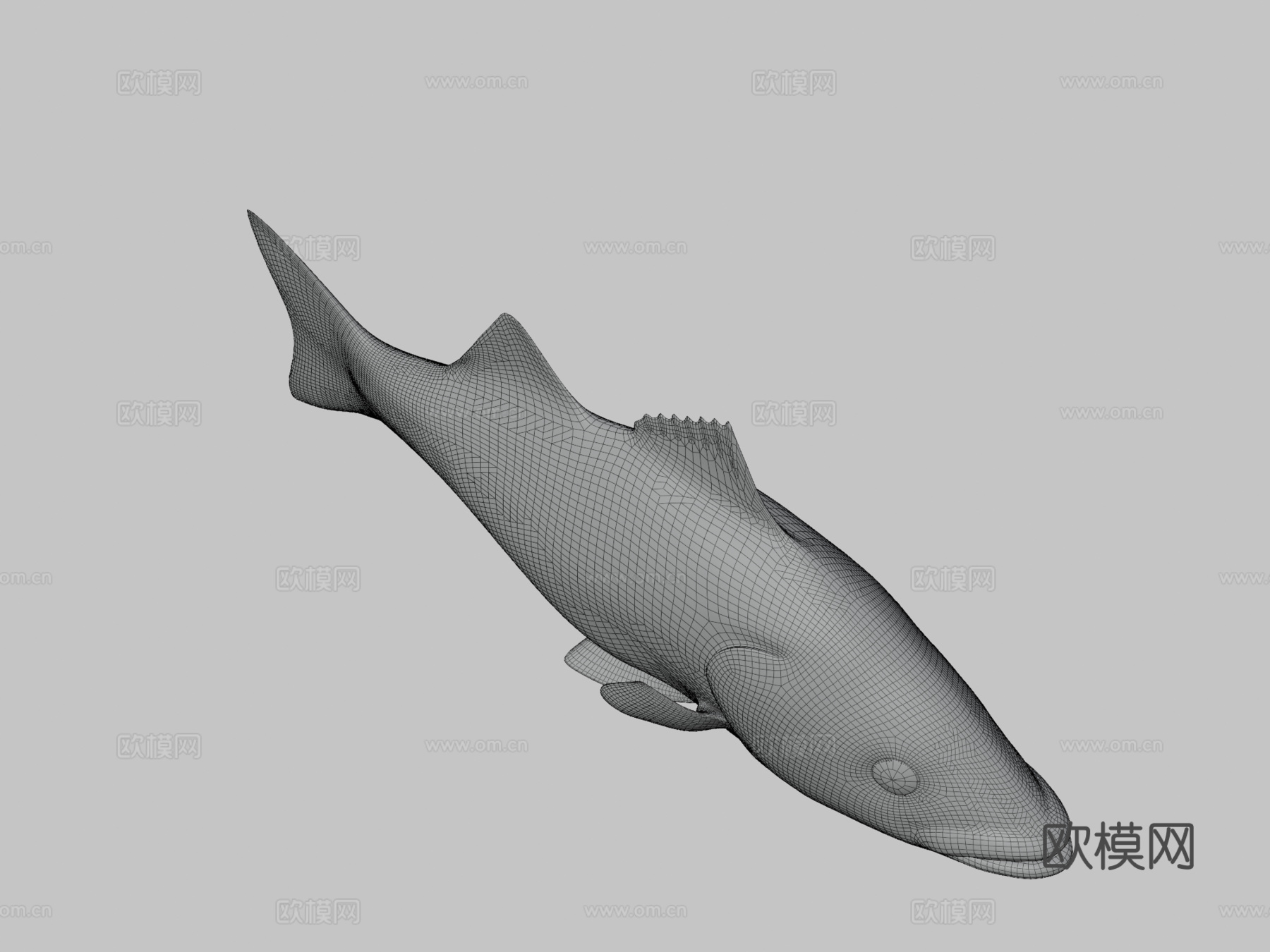 模型69A-条纹鲈鱼3d模型