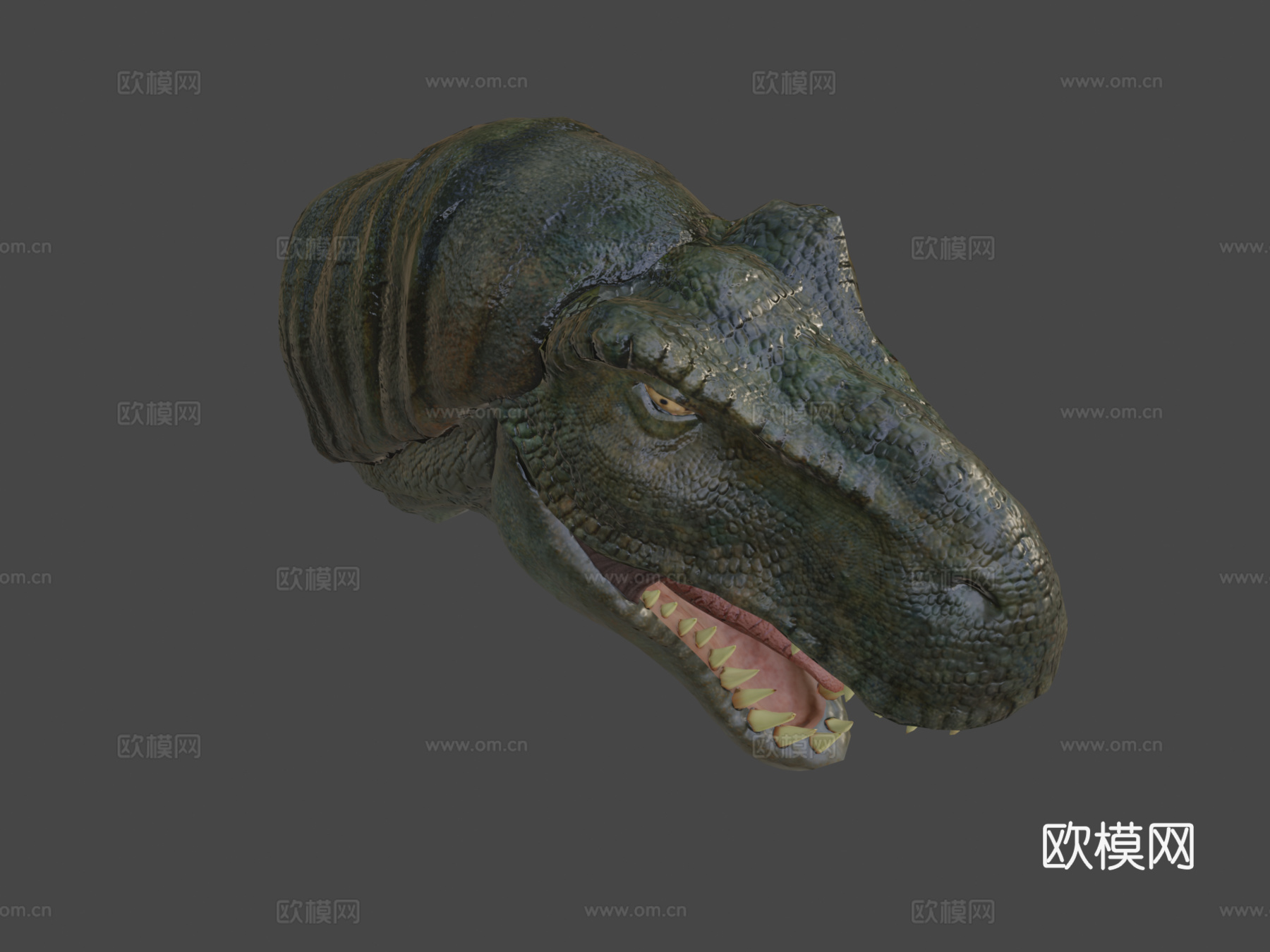 霸王龙3d模型