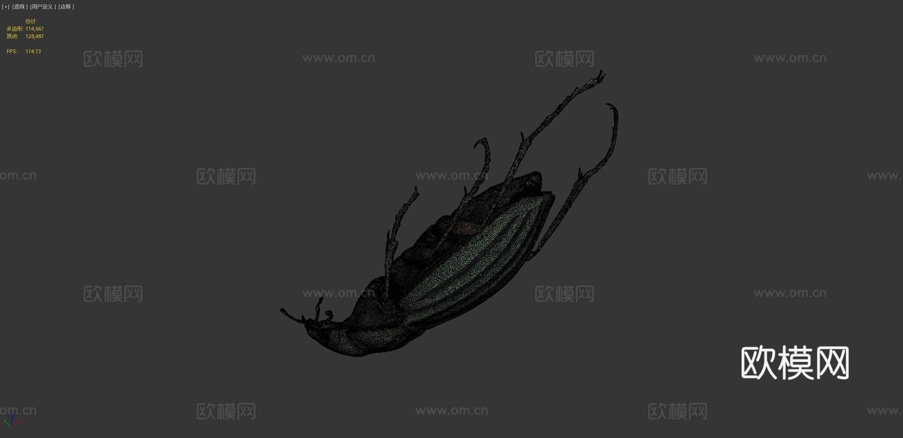 金缘步甲(自然历史数字档案DiNArDa)3d模型