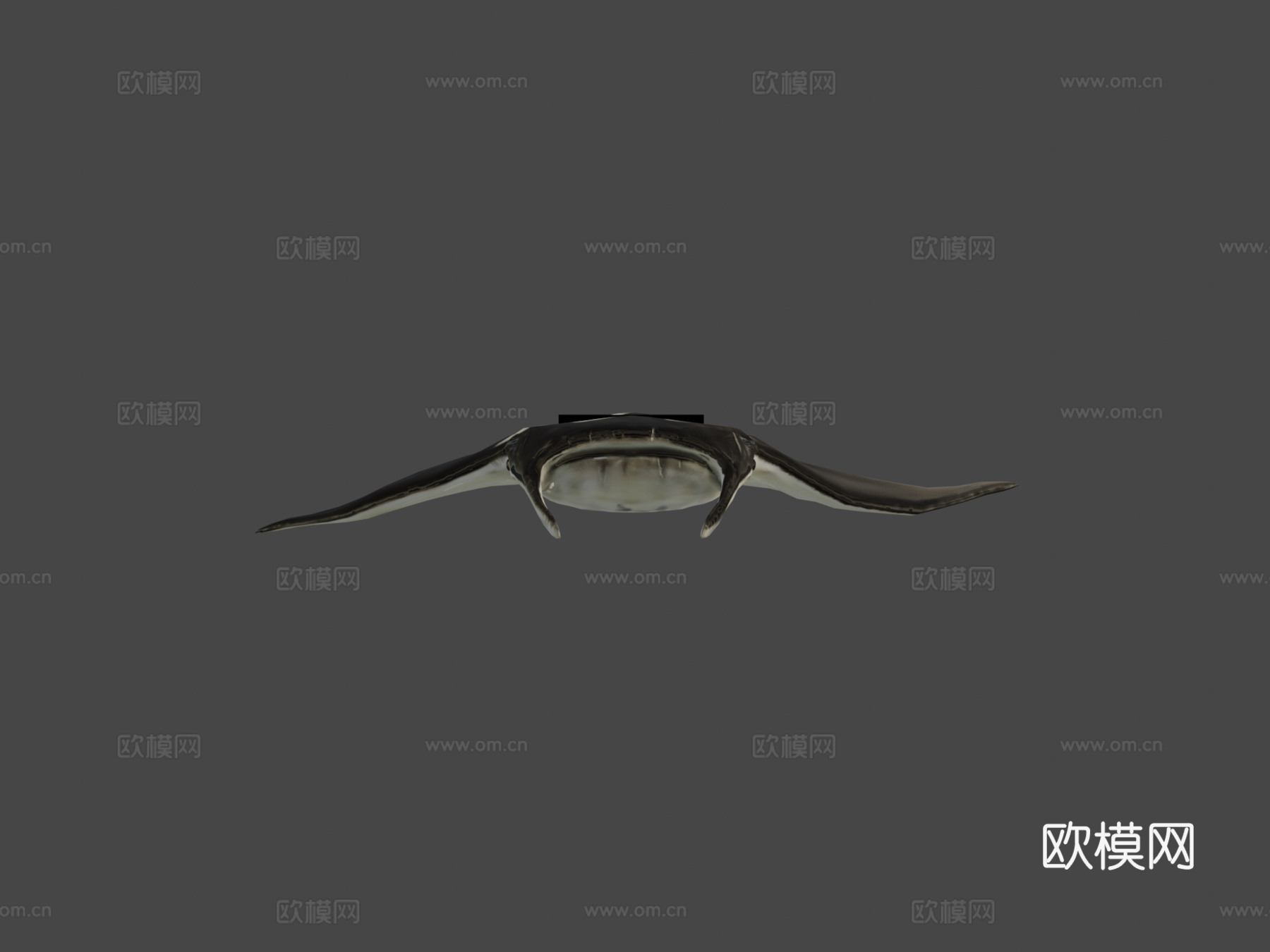 蝠鲼3d模型