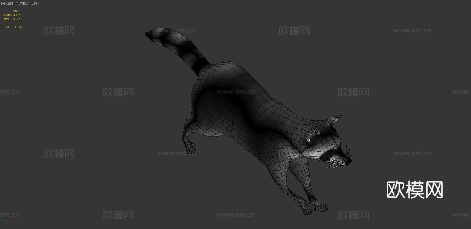 奔跑浣熊动画3d模型