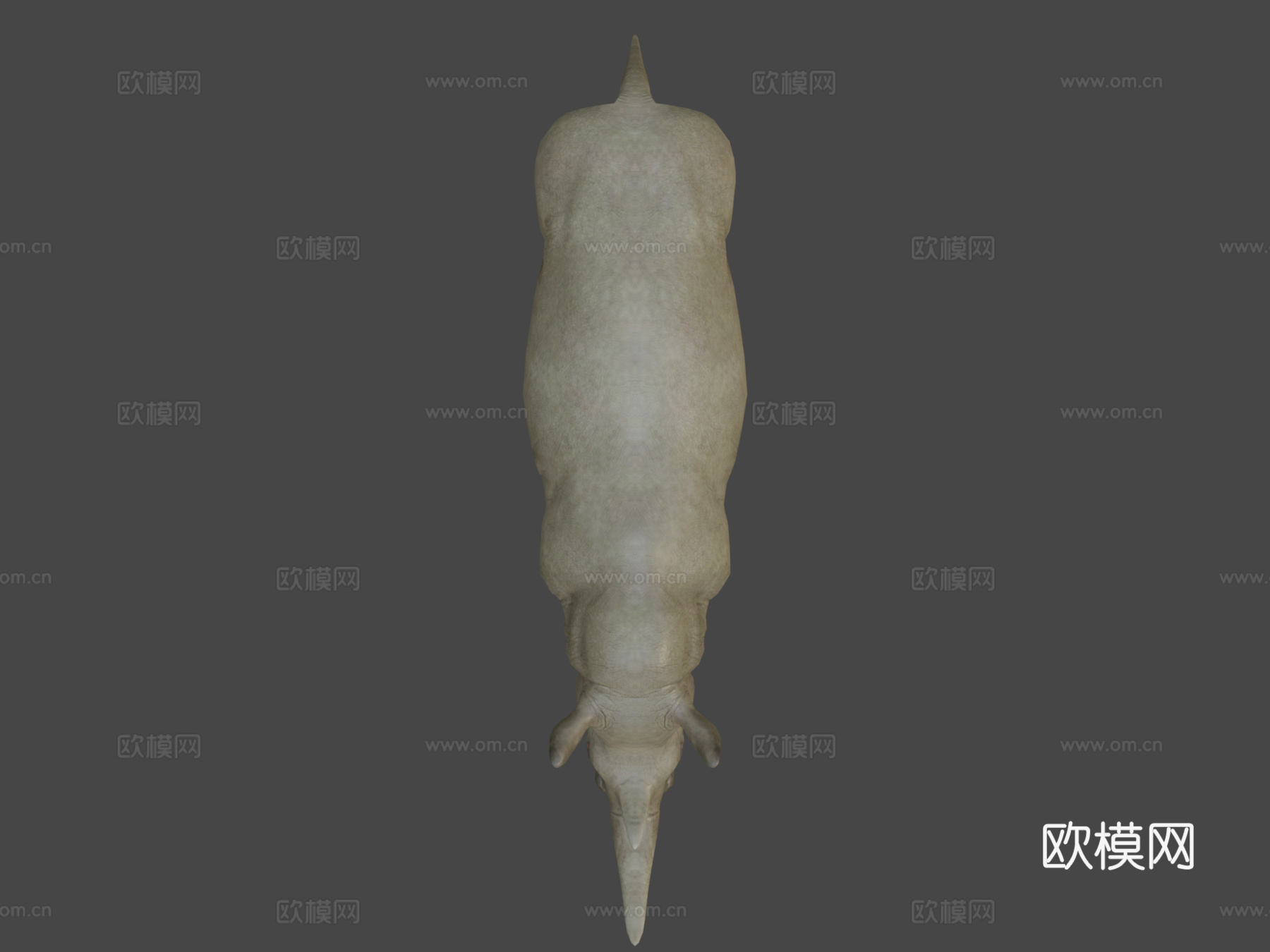 犀牛动画集3d模型