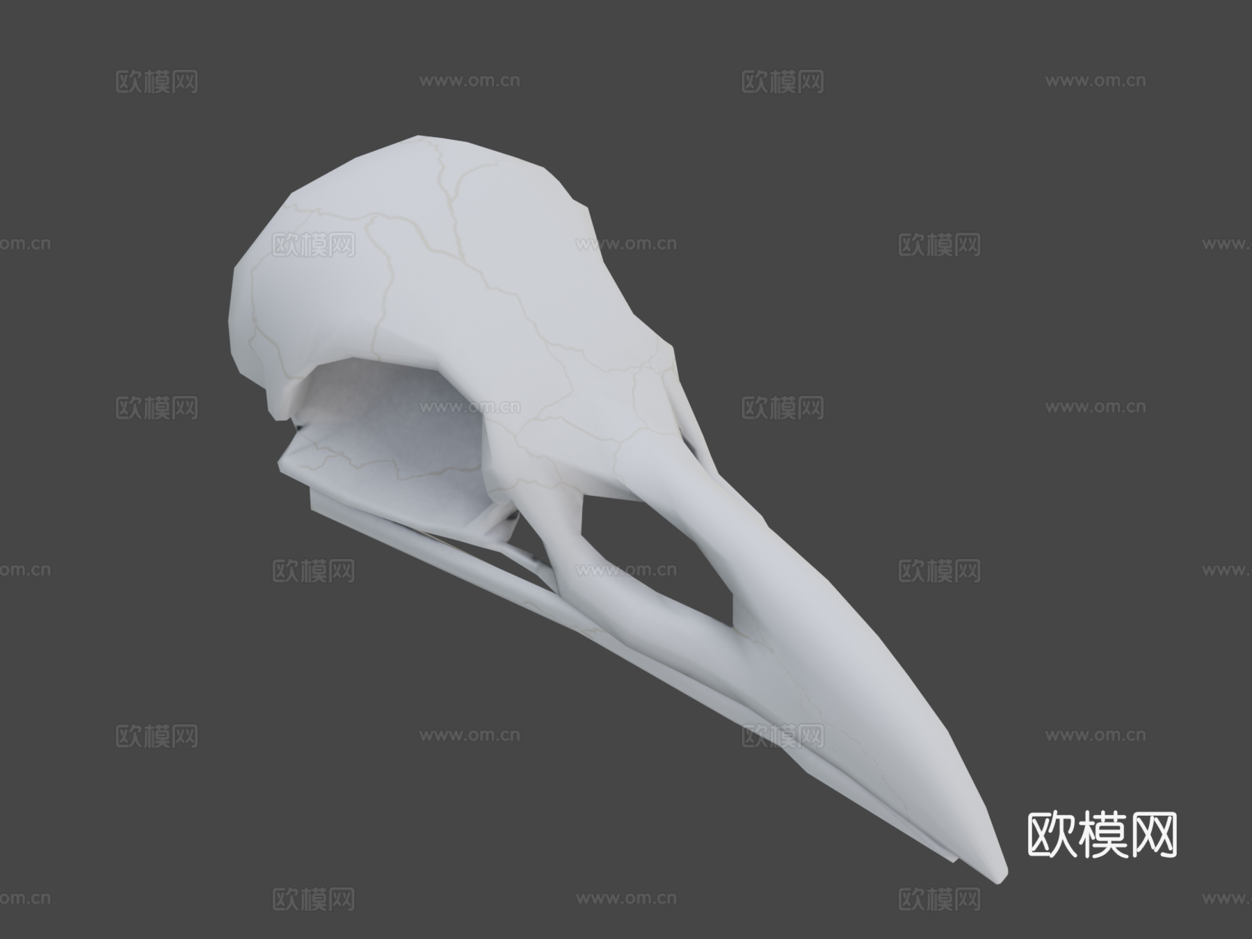 渡鸦头骨3d模型