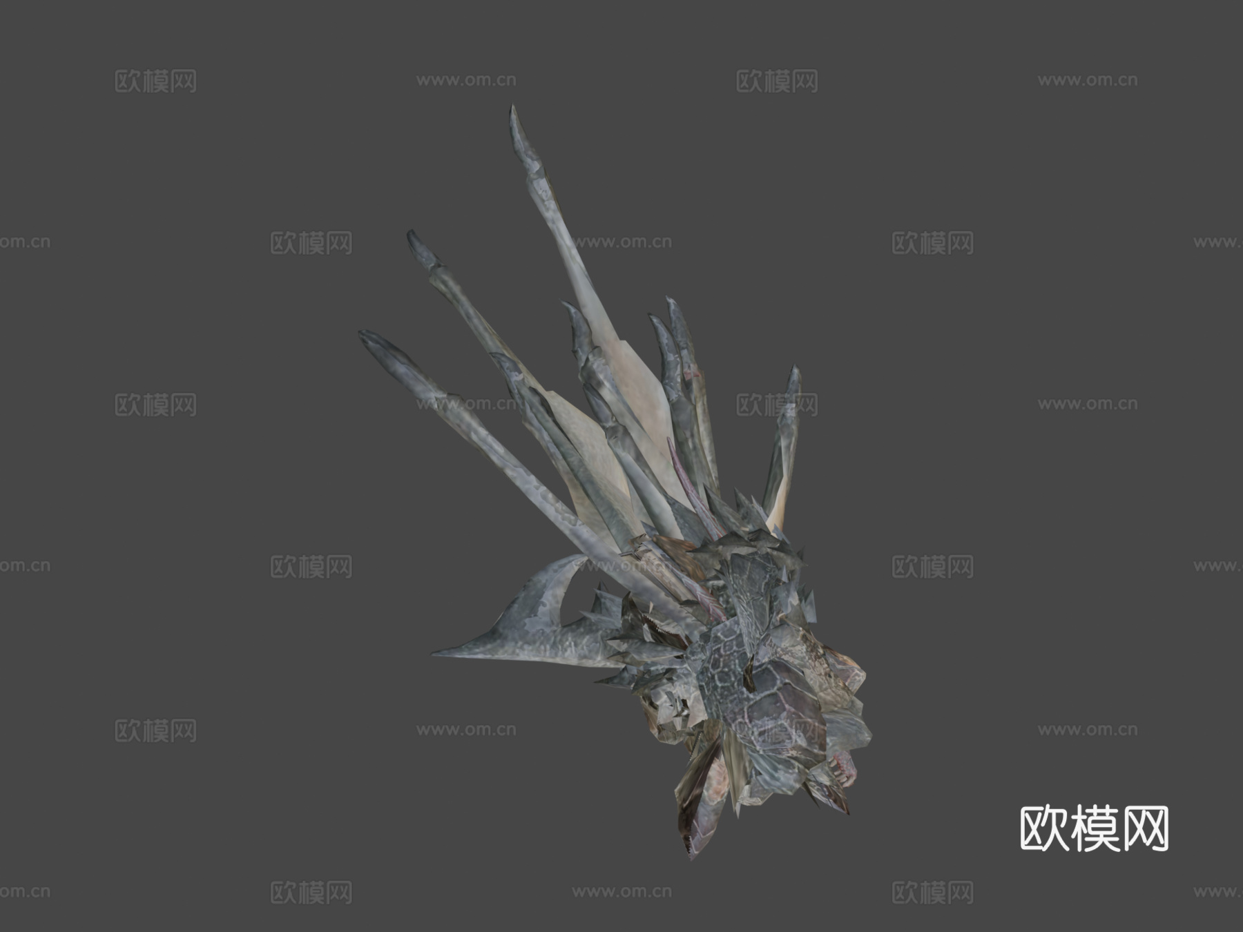 双足飞龙动画3d模型